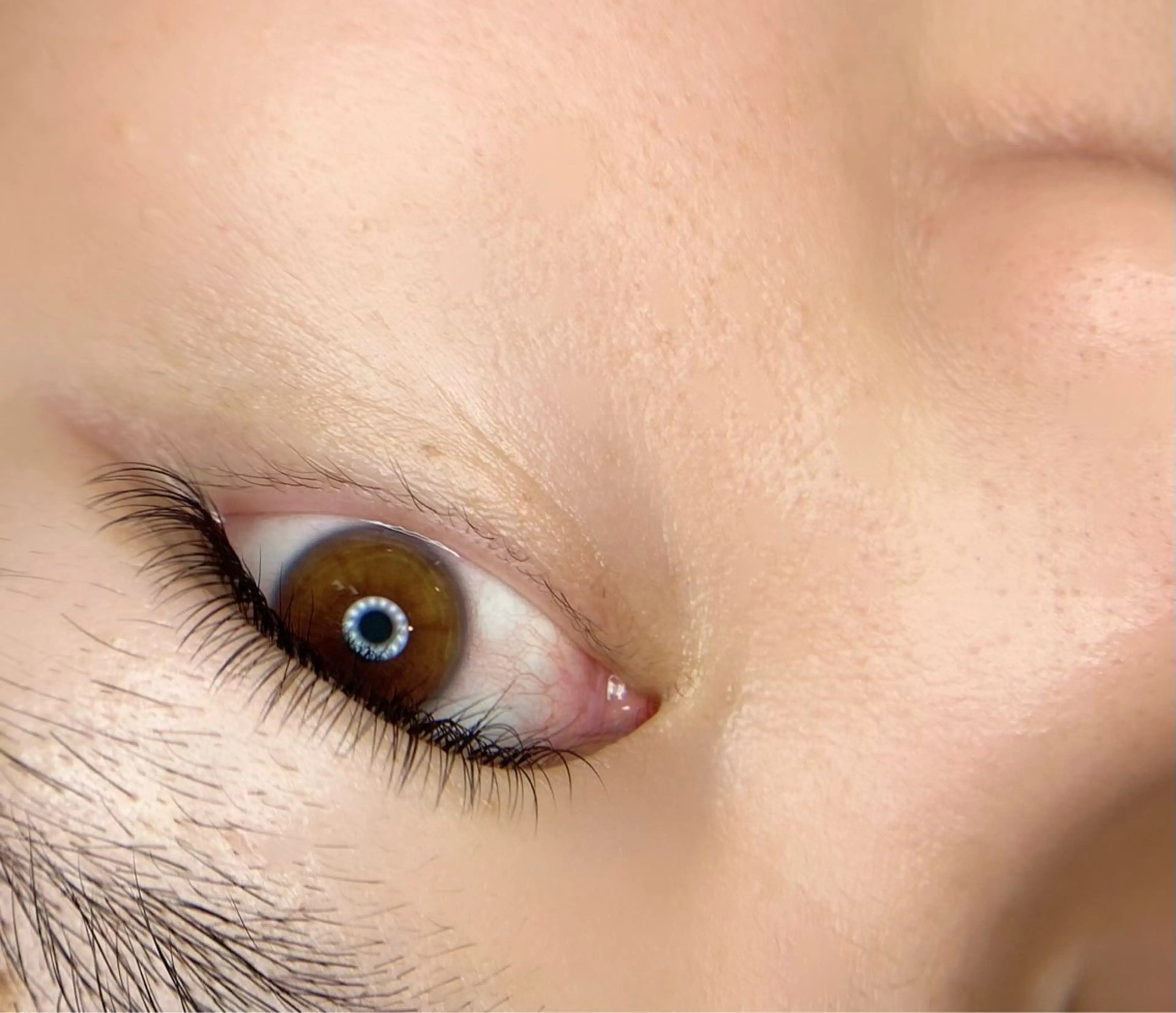 マツエク・マツパ tomte トムテのマツエク・マツパデザイン