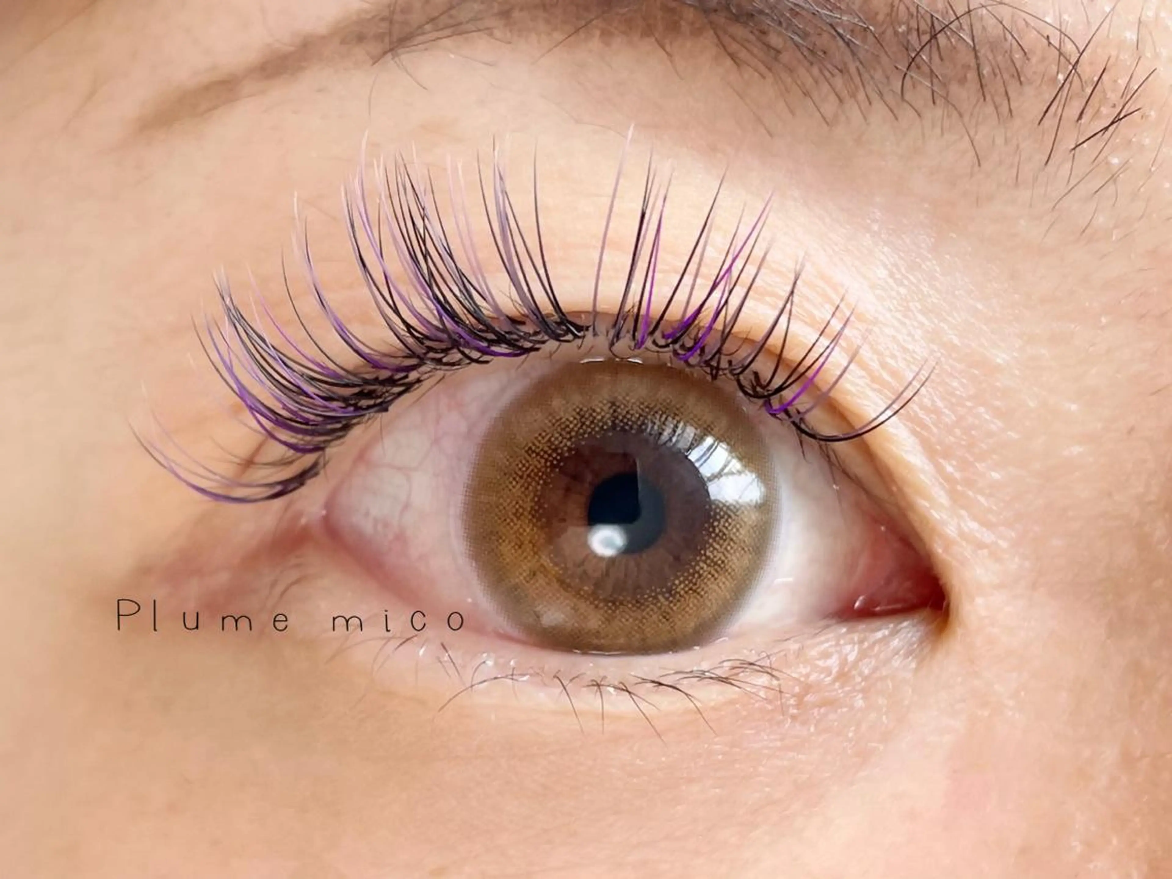 マツエク・マツパ マツエク Plume micoのマツエク・マツパデザイン