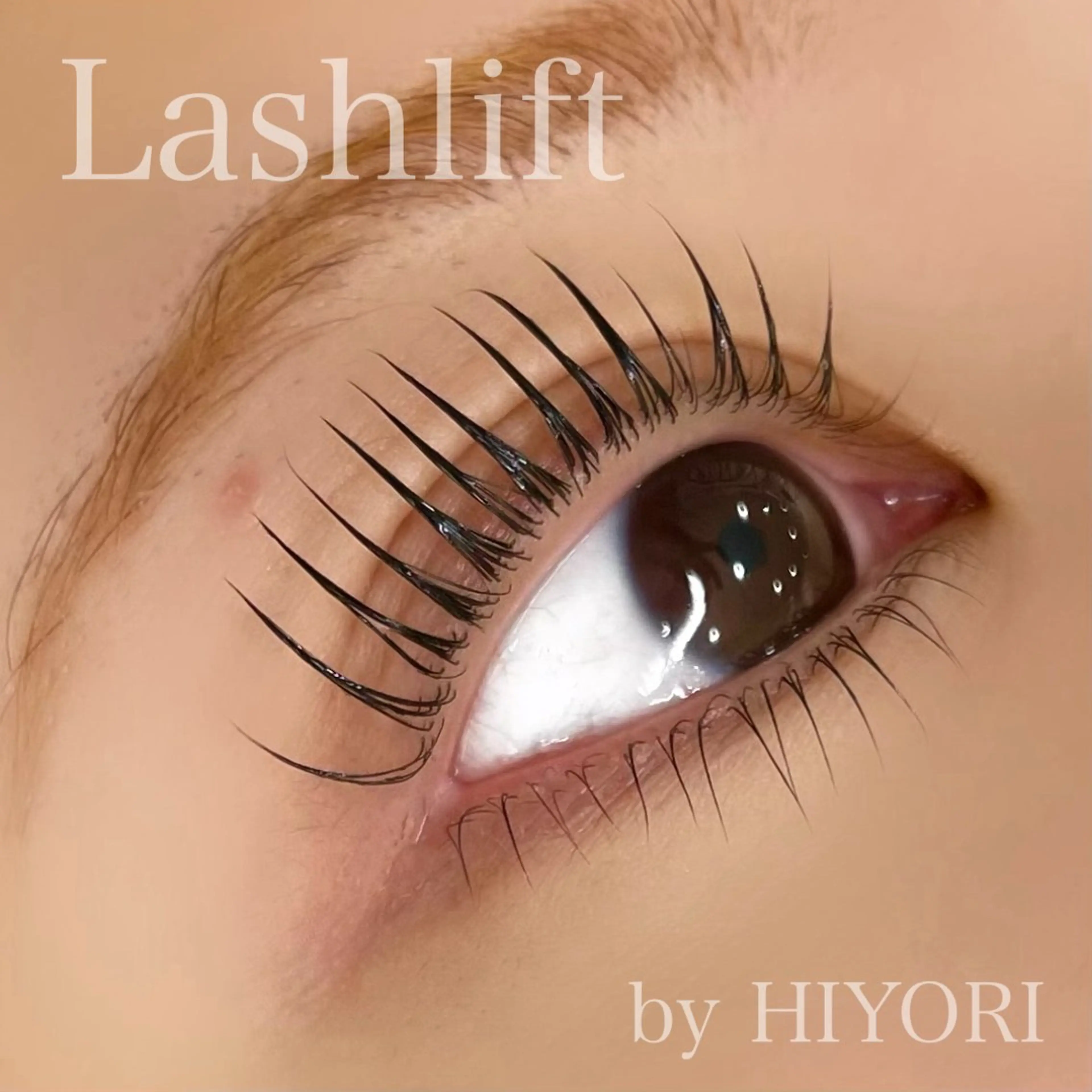 マツエク・マツパ マツパ Rose Lash hiyoriのマツエク・マツパデザイン