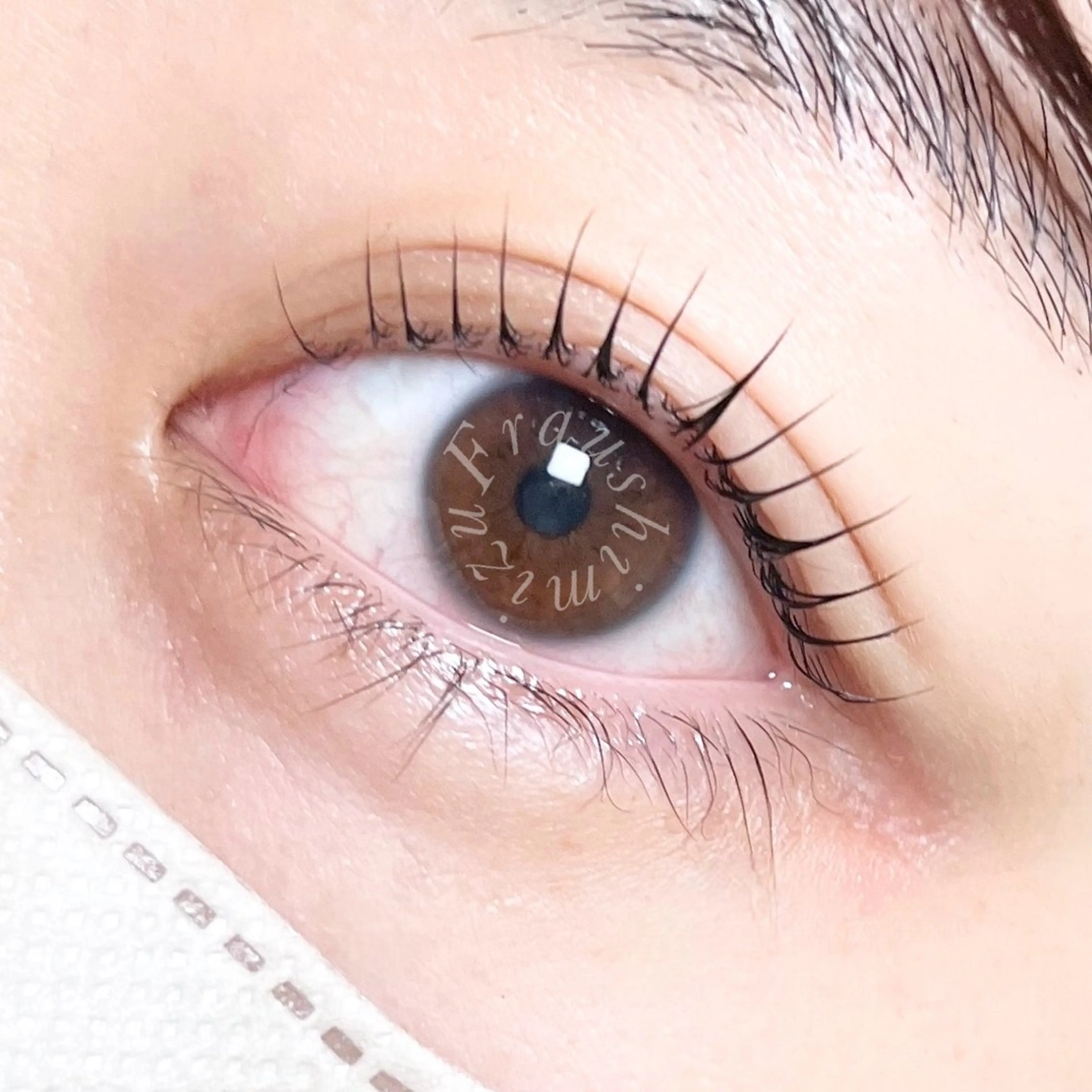 本日限定！🌼ラッシュリフト（次世代まつ毛パーマ）の写真