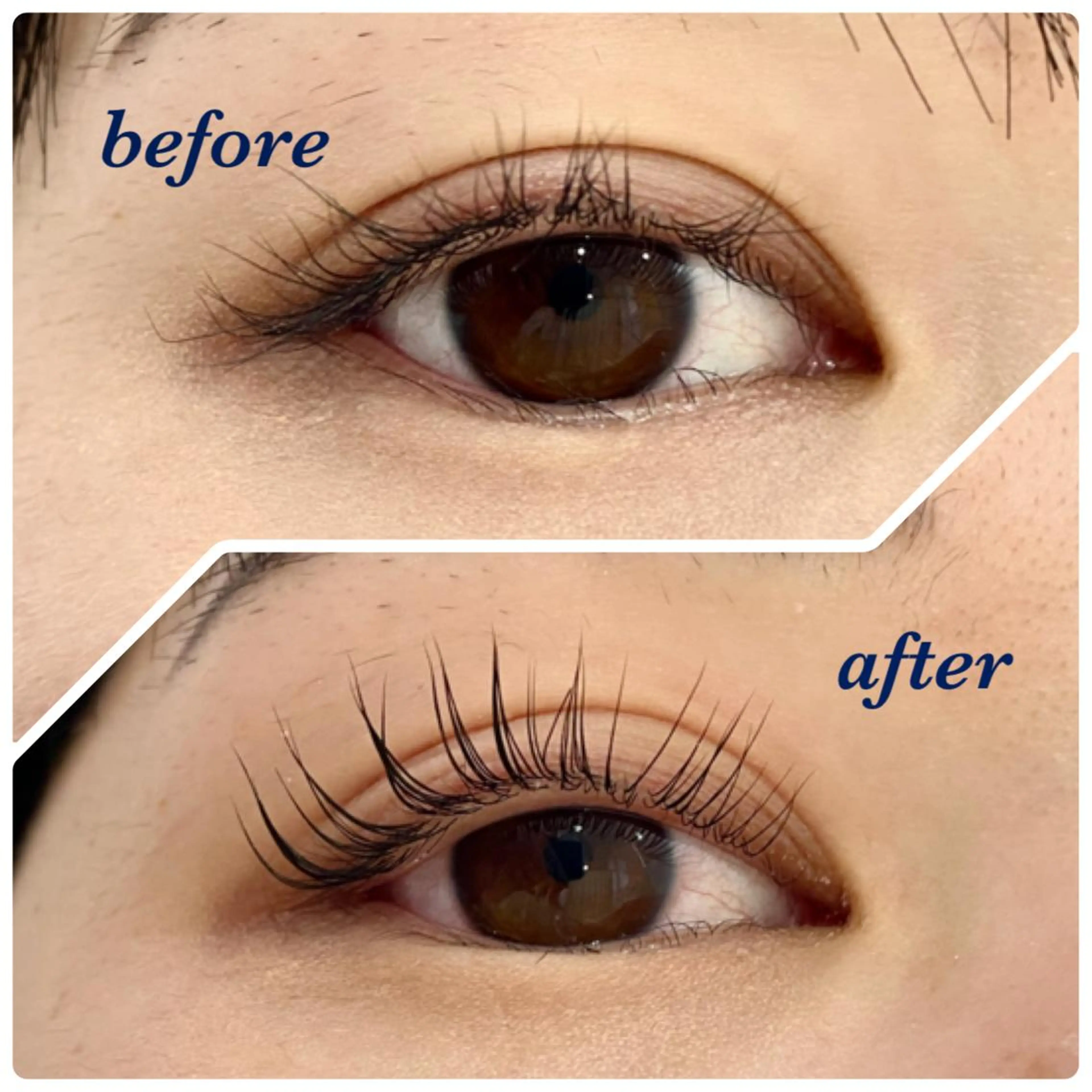 マツエク・マツパ パリジェンヌラッシュリフト eyelist🌷 Madokaのマツエク・マツパデザイン