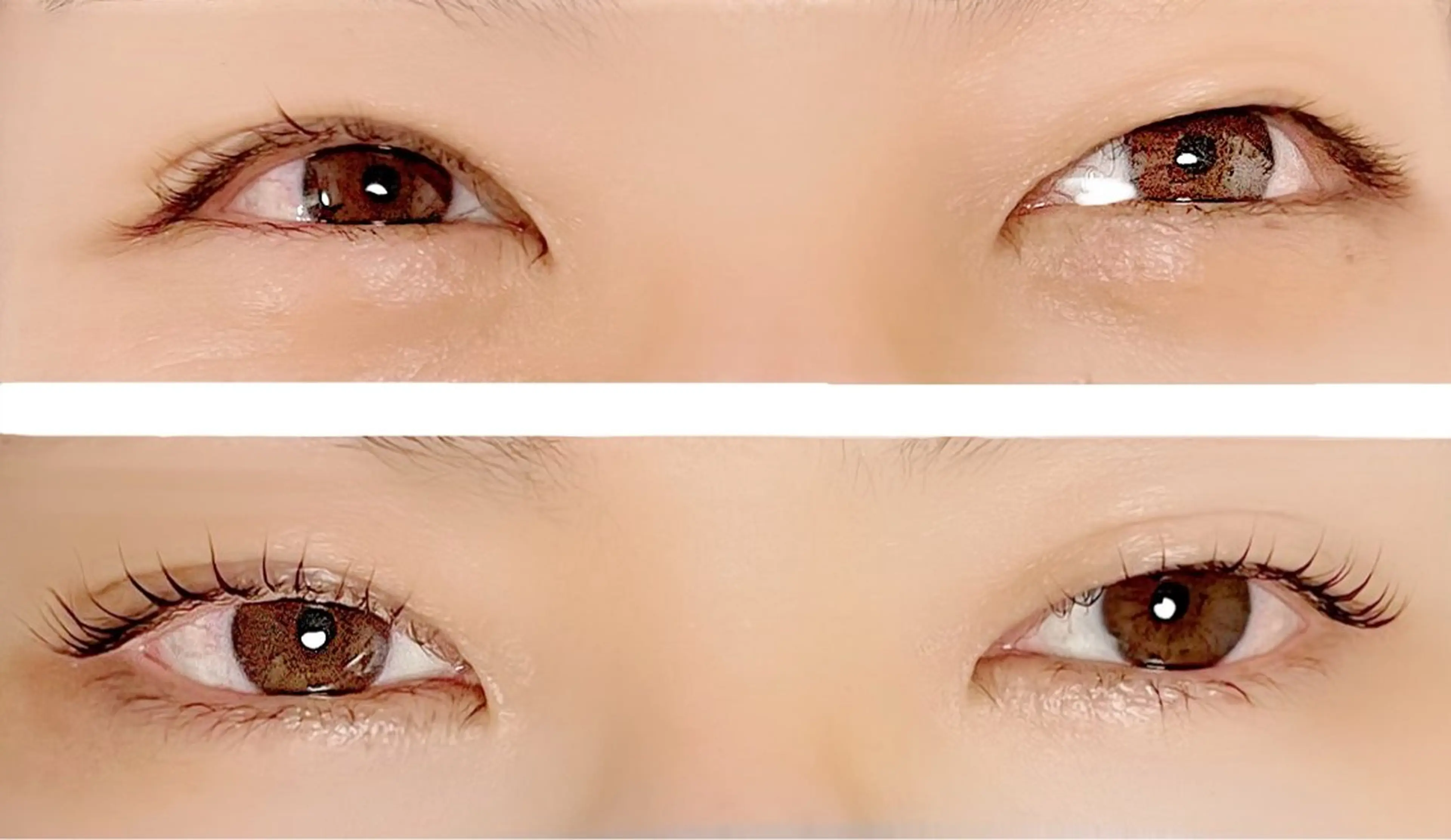 マツエク・マツパ 🎀自由が丘🎀 Lapuの眉毛・アイブロウイメージ