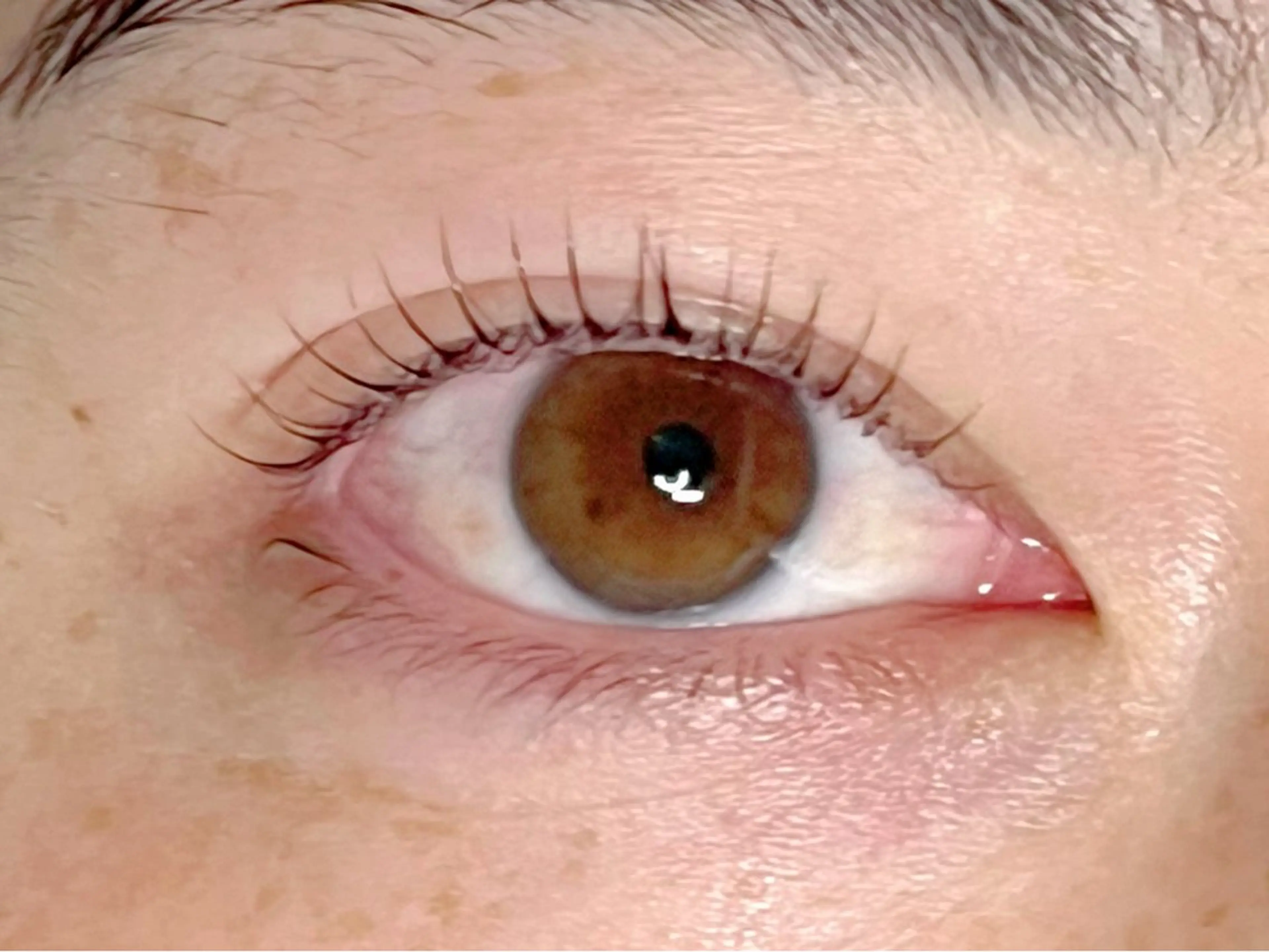 マツエク・マツパ amie ゆまのマツエク・マツパデザイン