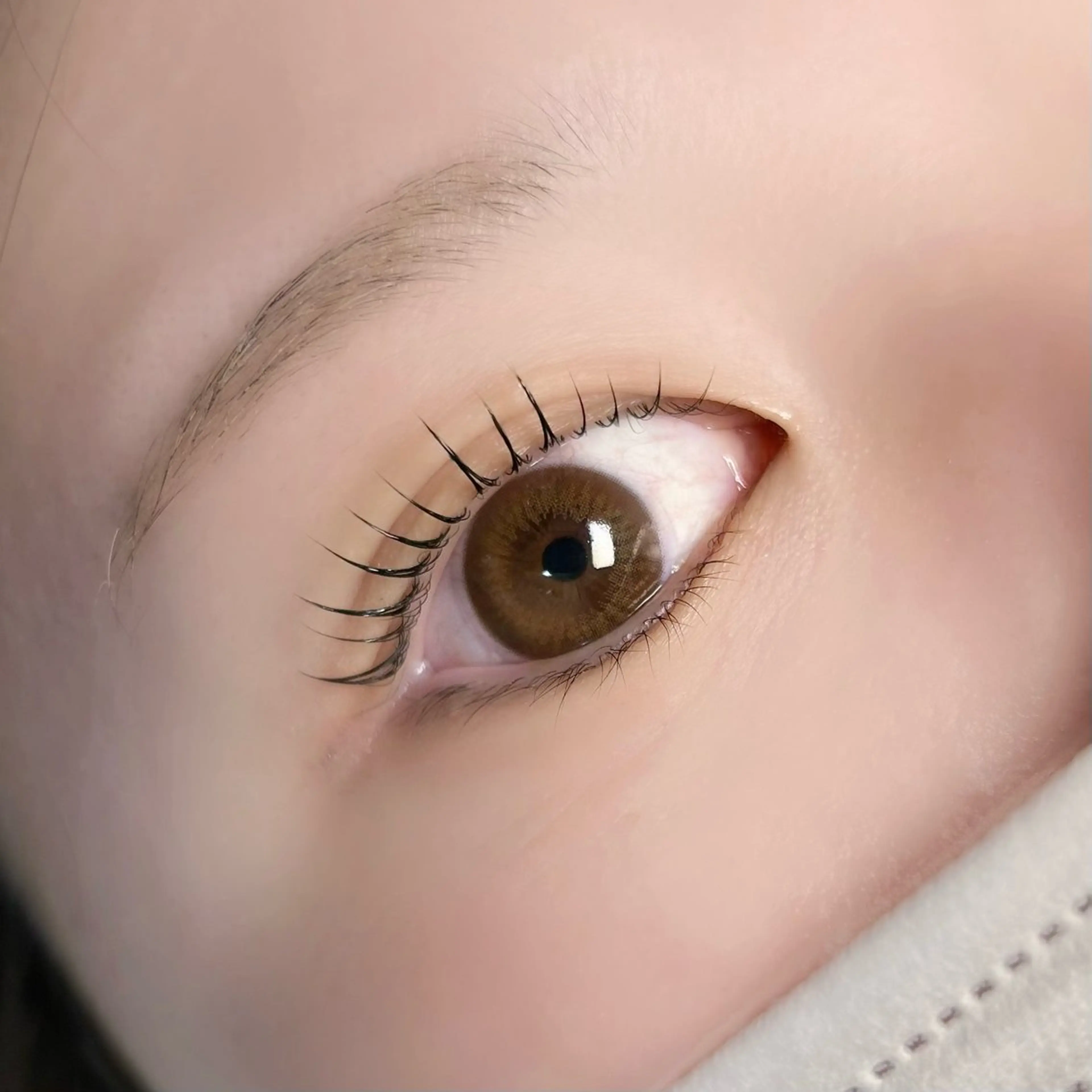 通常価格🎀上まつ毛パーマ🎀の写真