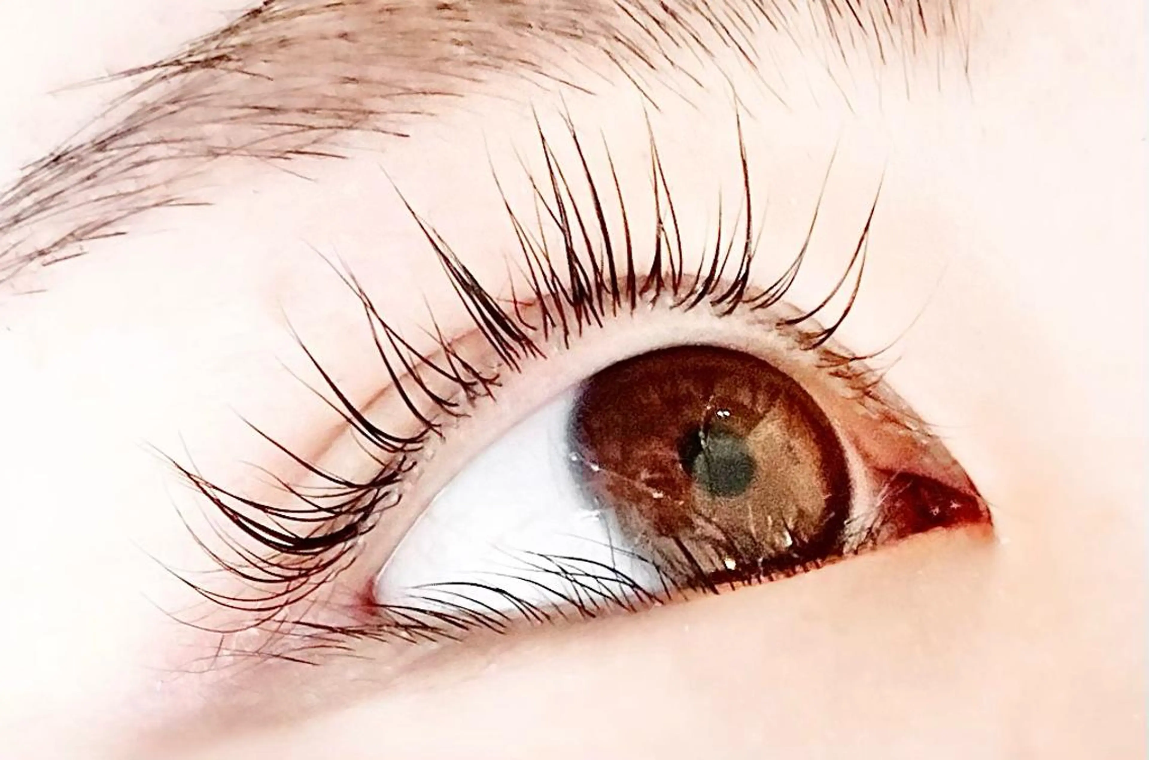 マツエク・マツパ アイブロウ マツパ クルミナージュ柏🌼 代表.鈴木のマツエク・マツパデザイン