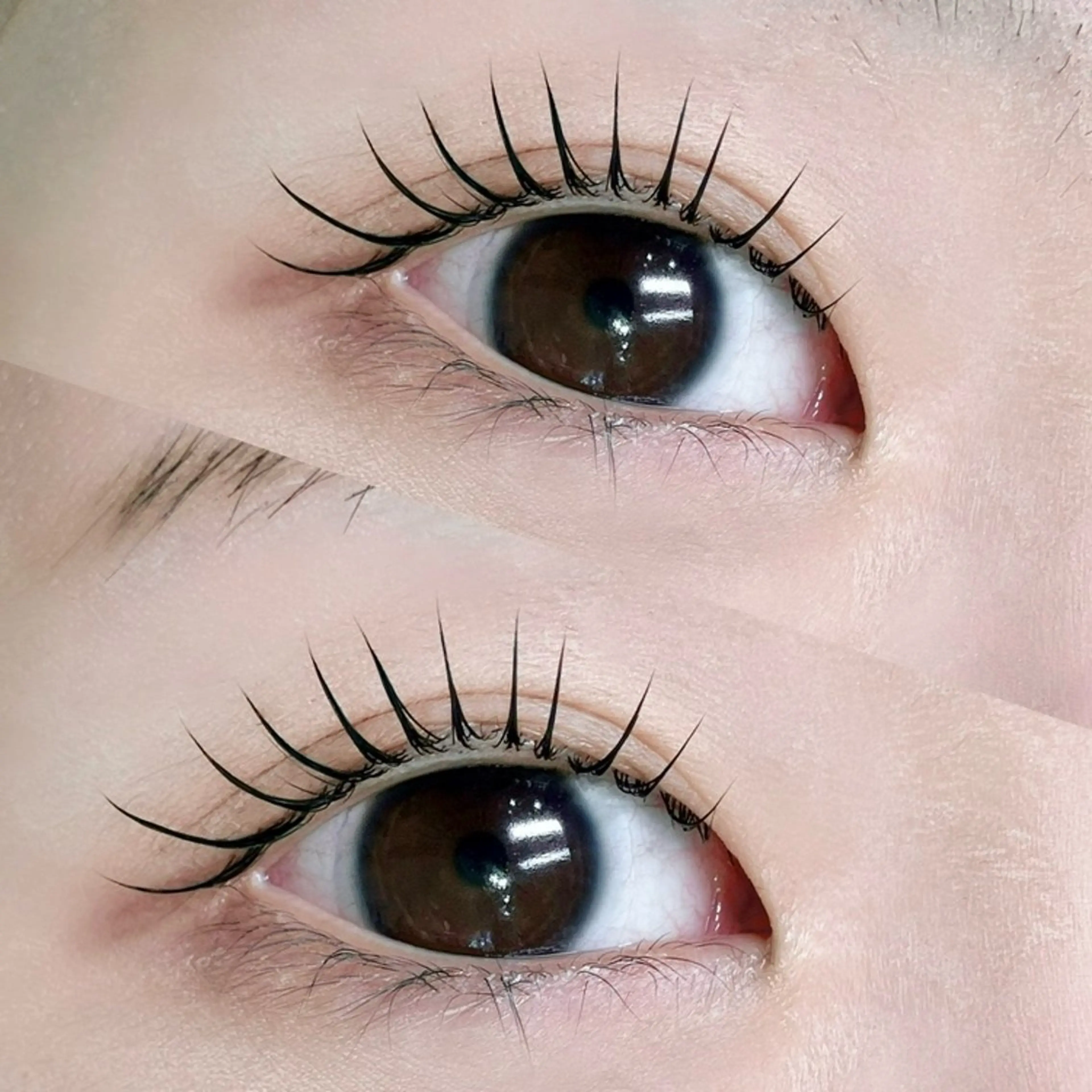 【人気No.1👑🎶】まつ毛パーマorパリジェンヌラッシュリフトの写真