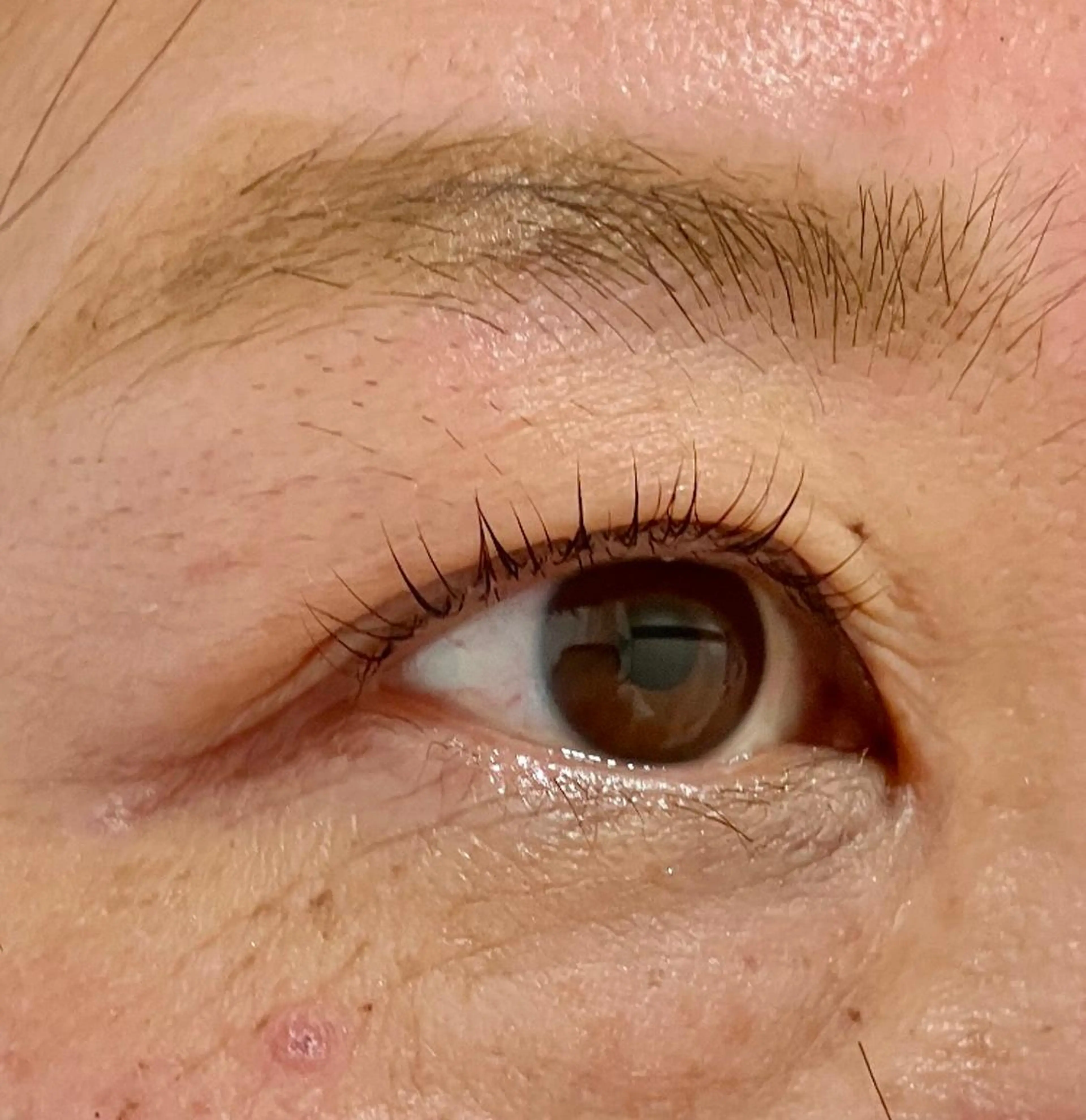 マツエク・マツパ 韓国エクステ／羽エク ダブルスキル💛のヘアスタイル