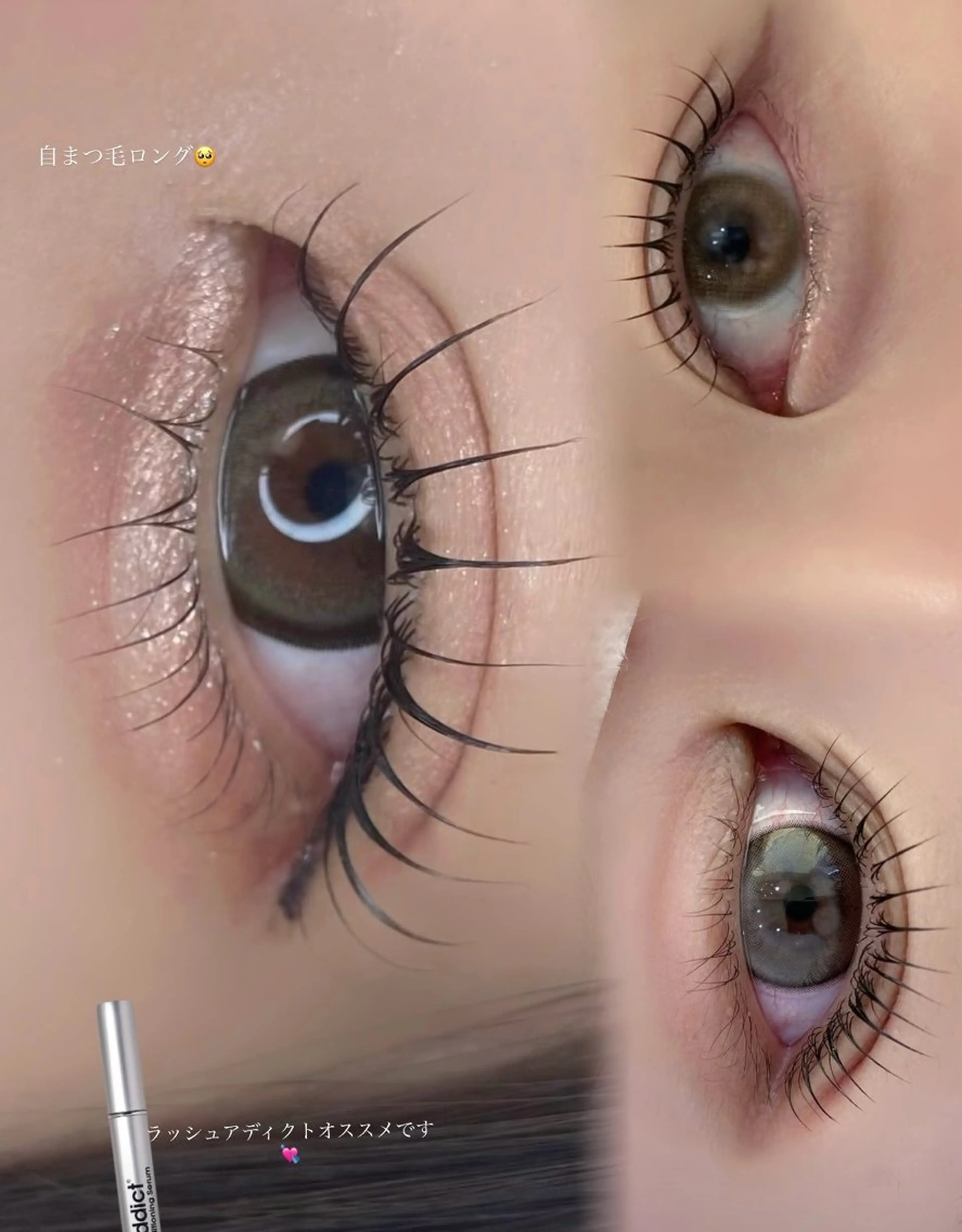 根元からしっかり立ち上げるまつ毛パーマ🩷の写真