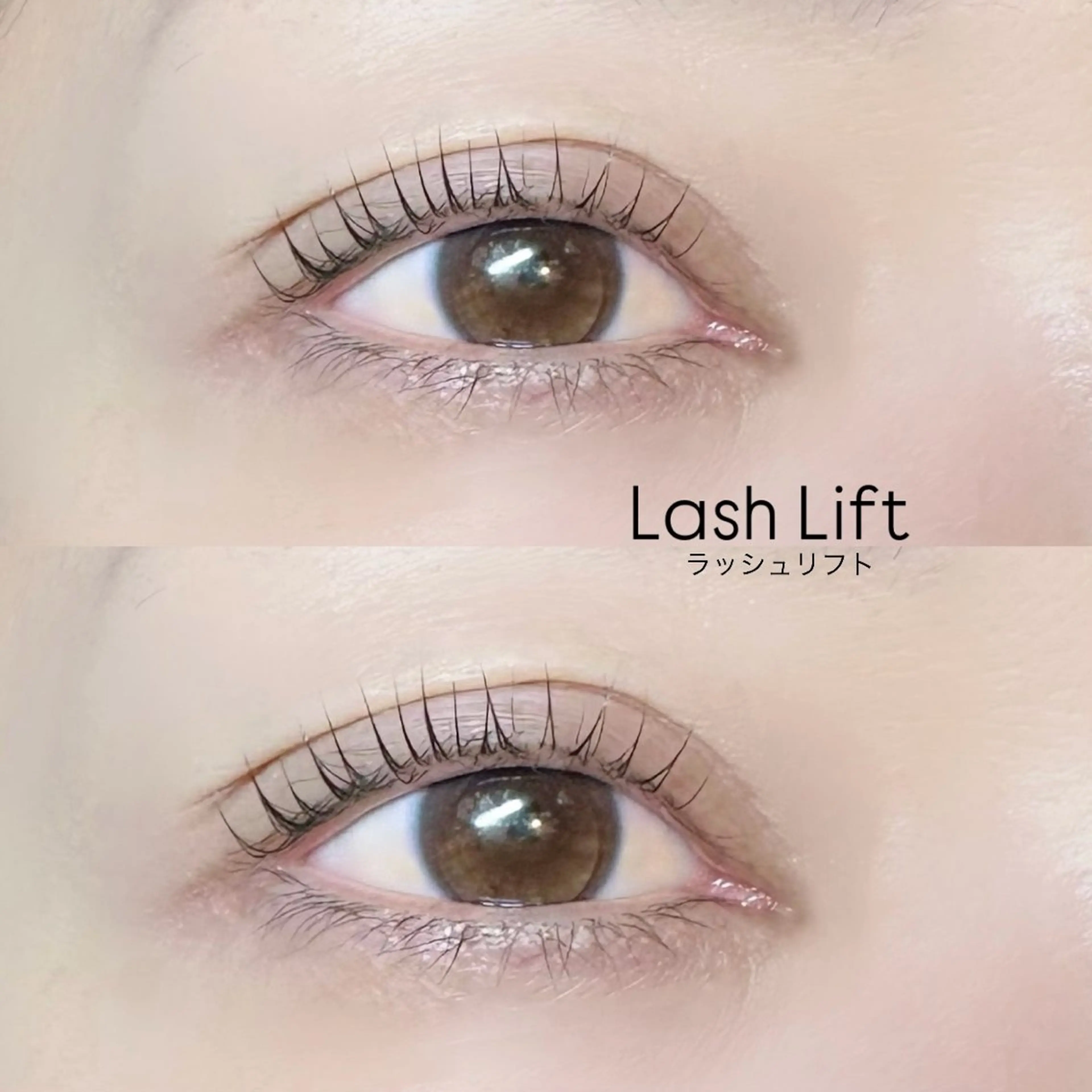 上のみ🫧ラッシュリフトパーマorパリジェンヌ⛄️【フェニックスコーティング付】 ¥6600→¥3000の写真