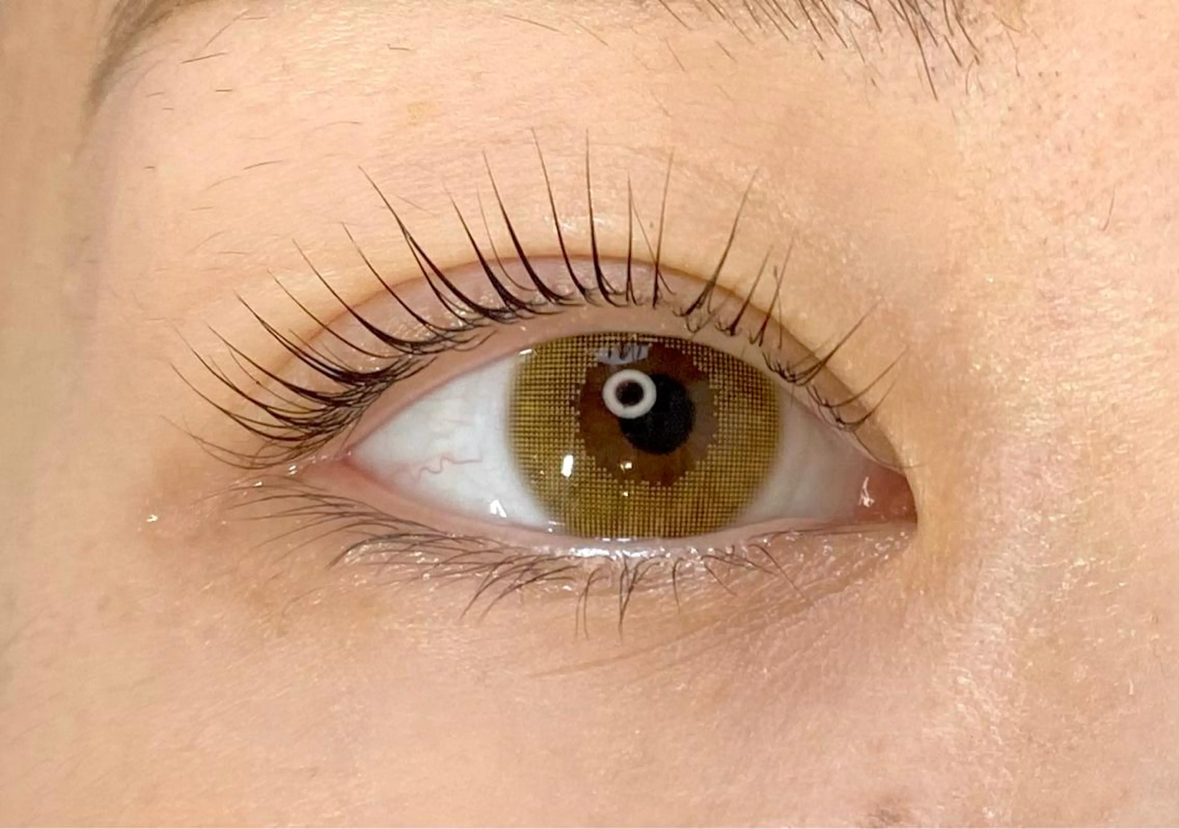 マツエク・マツパ パリジェンヌラッシュリフト マツパ Chisato🤍池 袋/マツパ/マツエクのマツエク・マツパデザイン