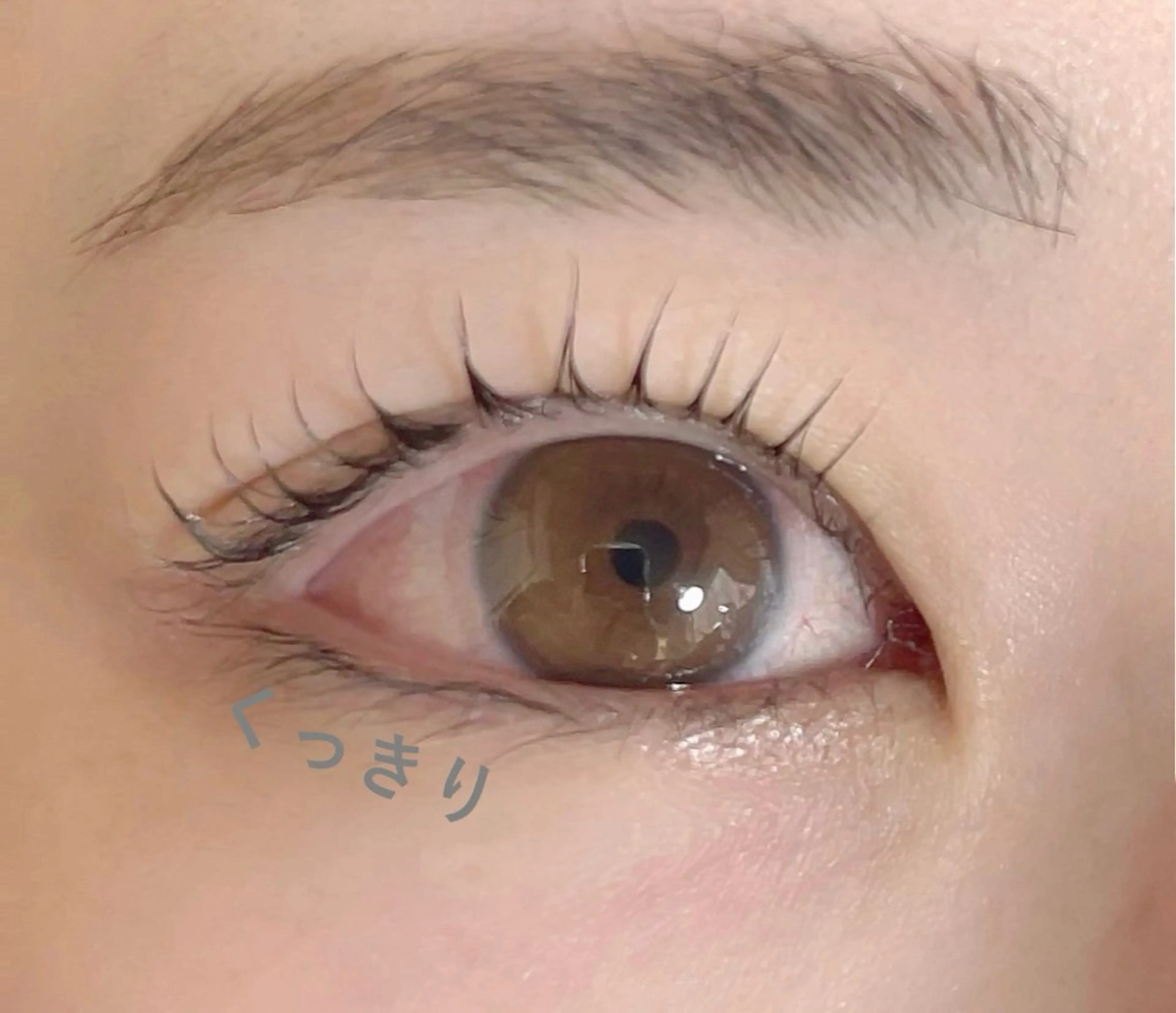 マツエク・マツパ パリジェンヌラッシュリフト まつげパーマ 🧸 Emiri🫧のマツエク・マツパデザイン