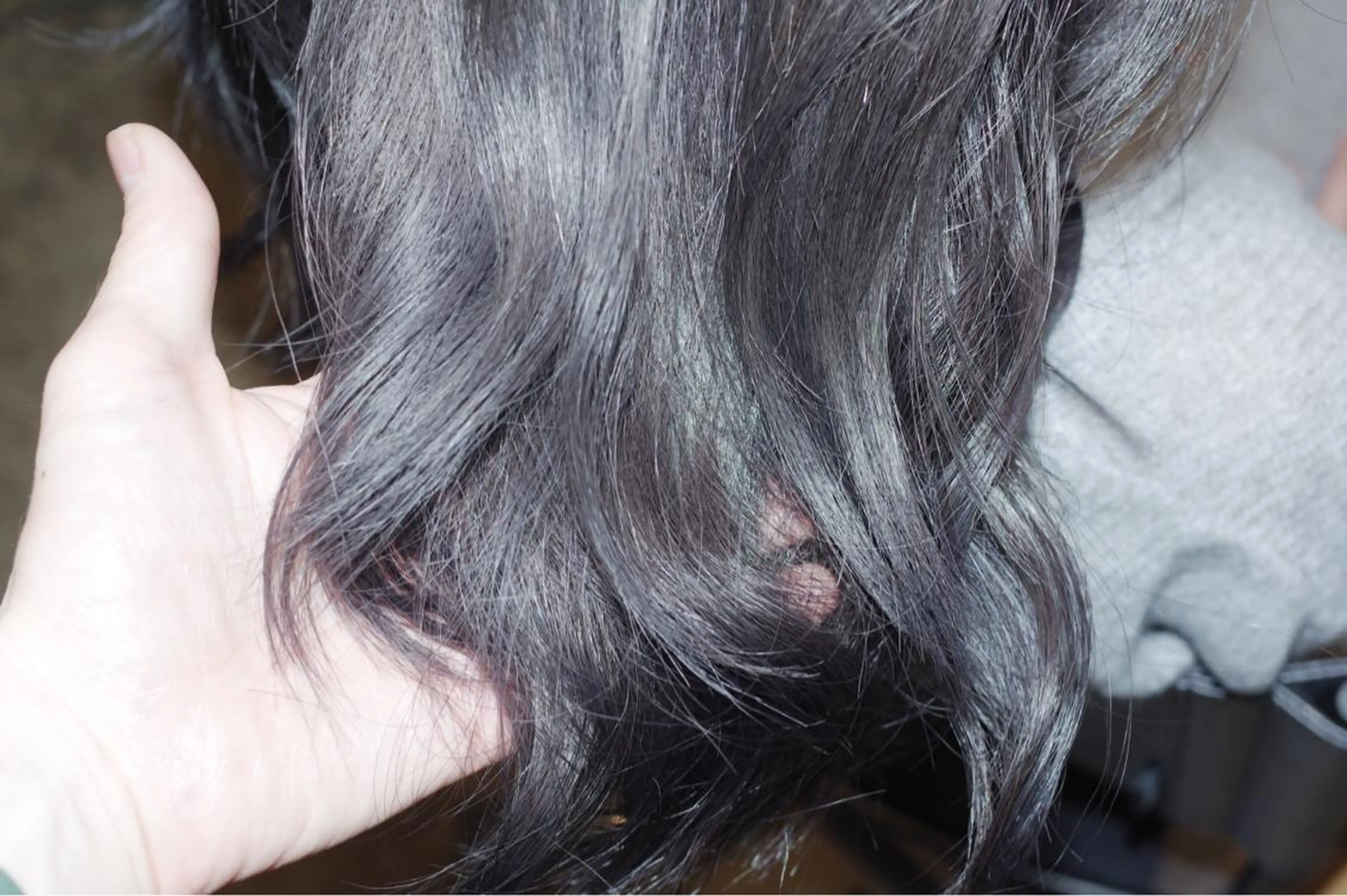 ショート ミディアム セミロング ロング カラー クセ毛お悩みの方 四宮桂佑のヘアスタイル