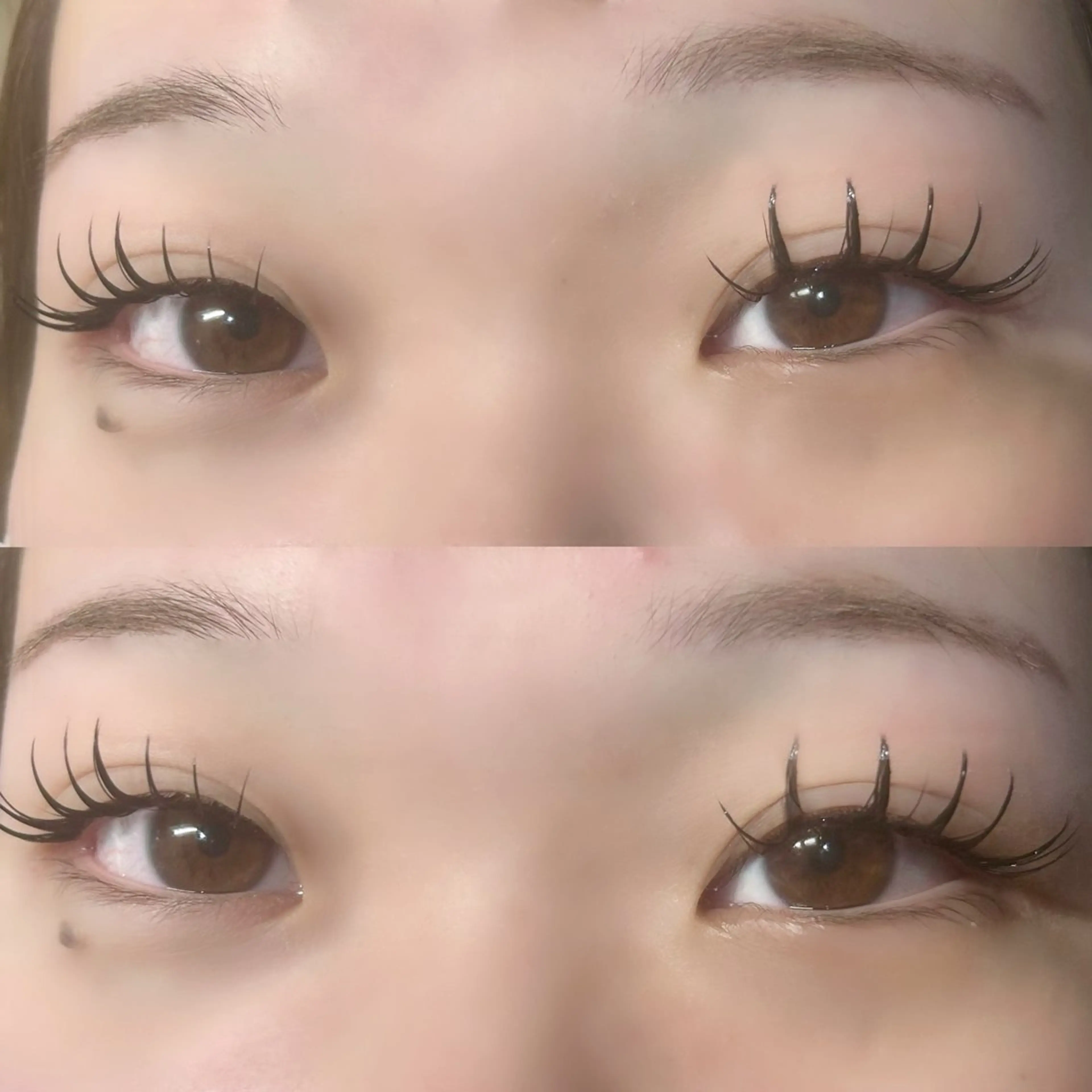 マツエク・マツパ 👑𝐊𝐢𝐧𝐠 心斎橋MIREI🌺のマツエク・マツパデザイン