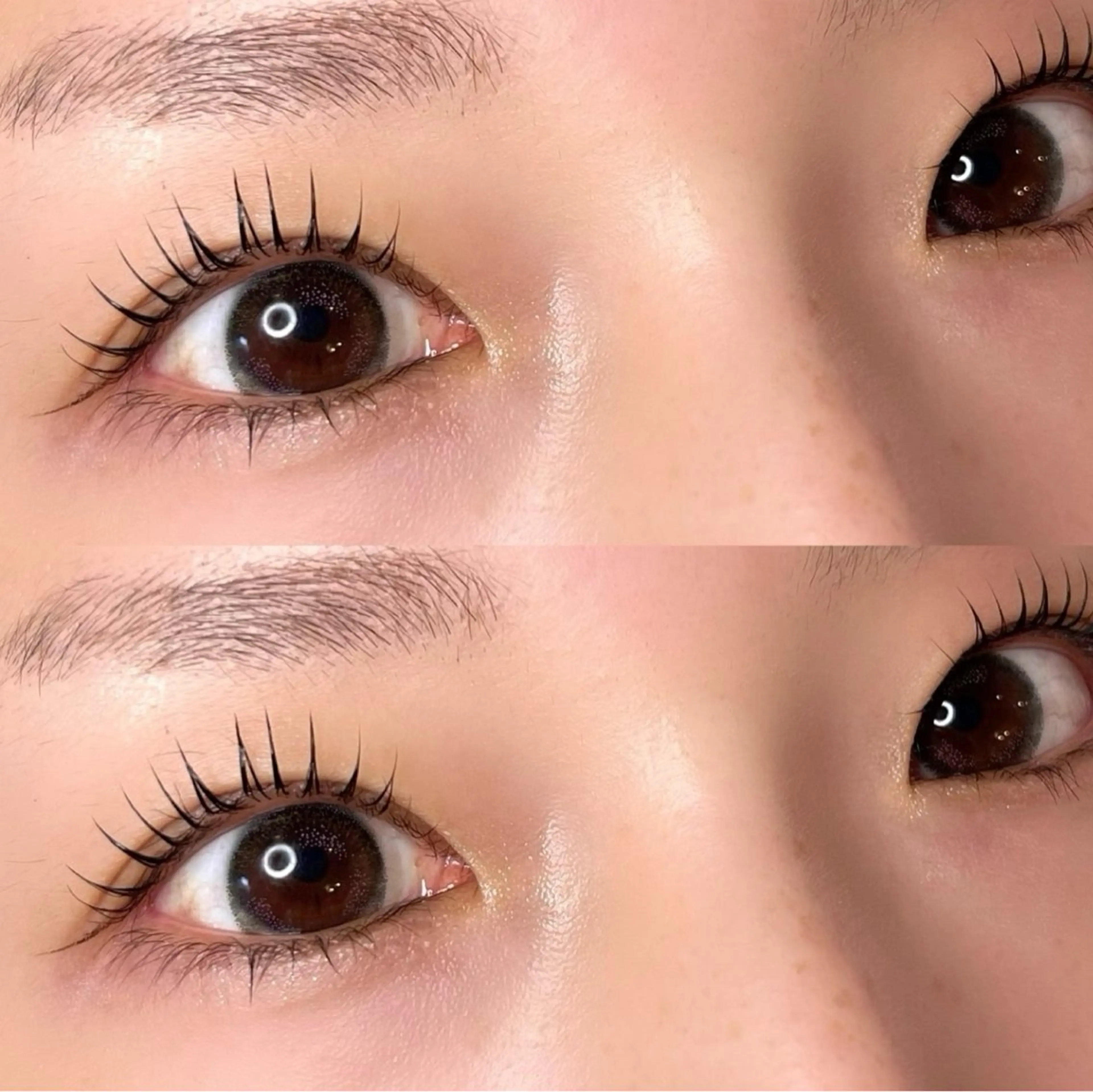 上まつげパーマ👀🫧コーティングトリートメントでお仕上げ✨の写真