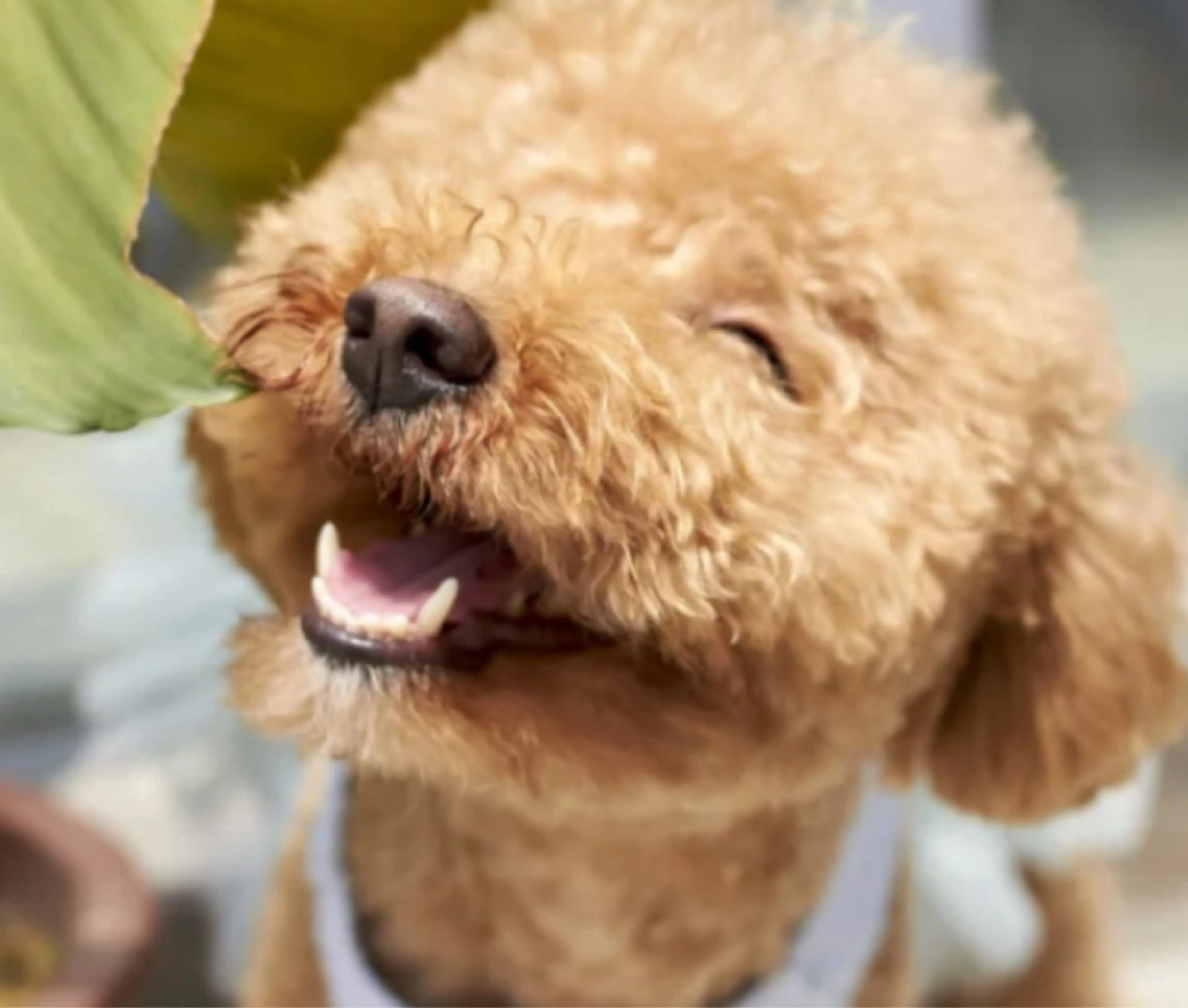 エステ リラク 小顔×肌質改善サロン soin〔ソワン〕のエステ・リラクイメージ