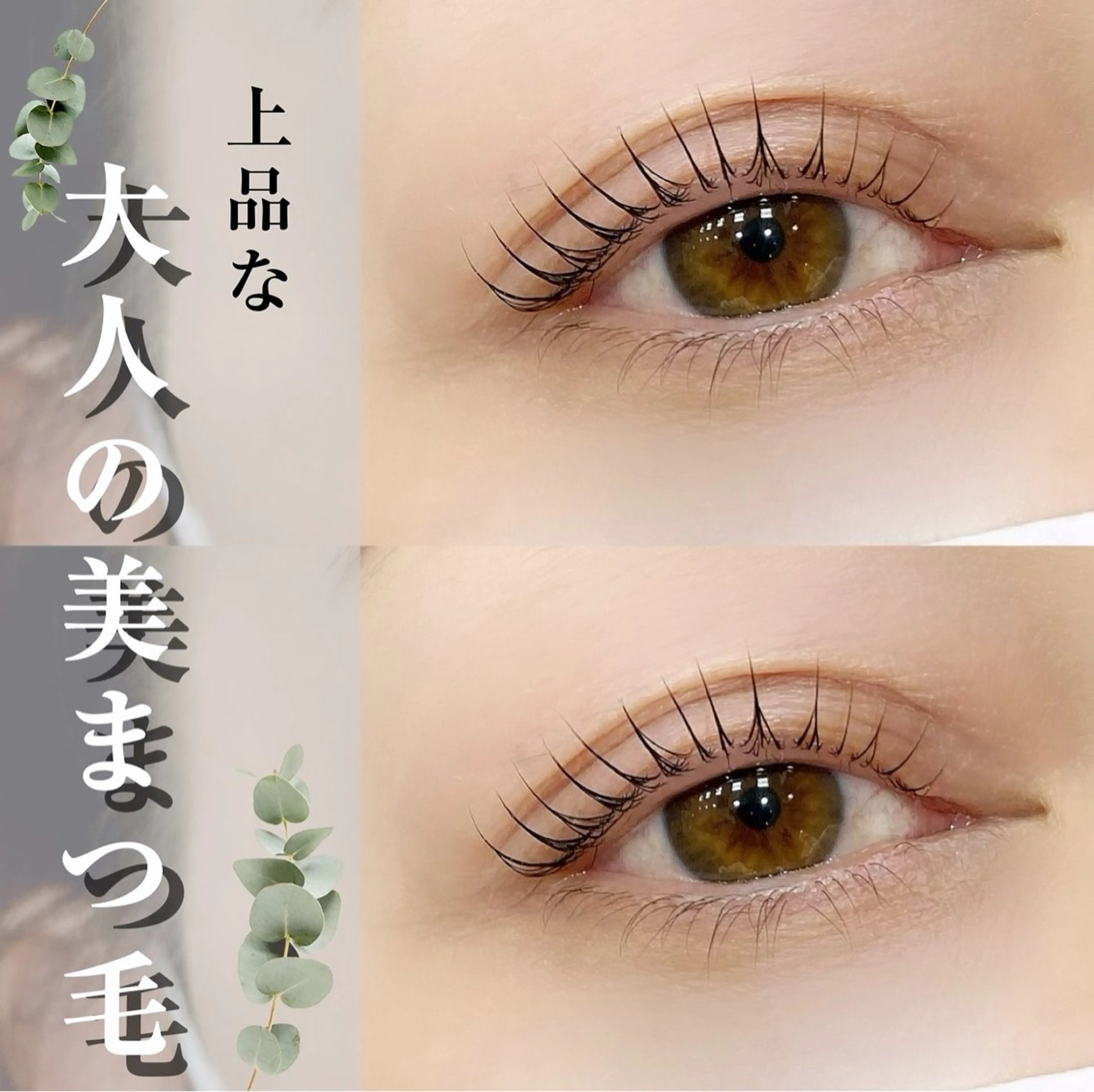 マツエク・マツパ まつげパーマ アルターエクラ 飯島のマツエク・マツパデザイン