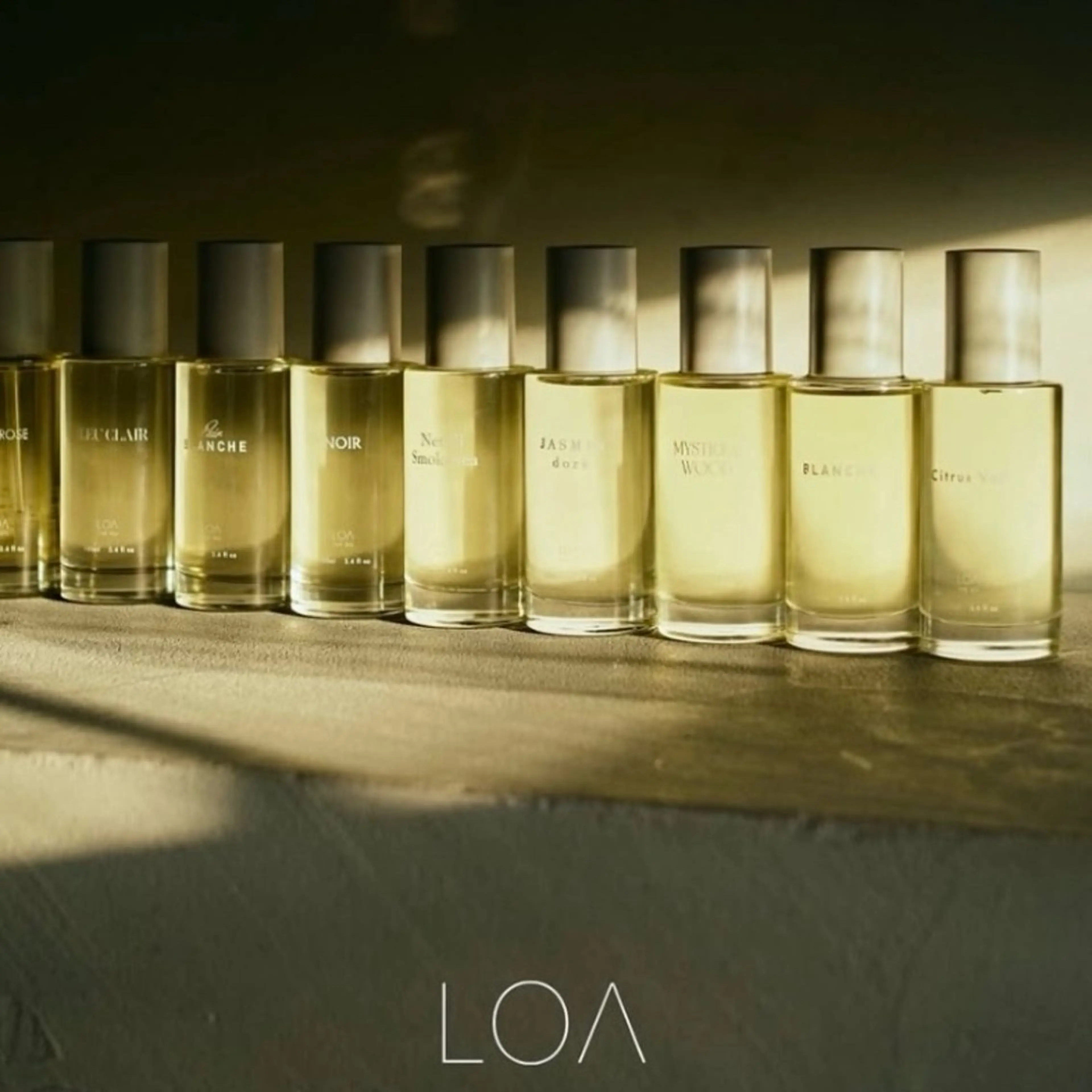 【🫧ロアオイルBLANCE付】カット+カラー+トリートメントの写真