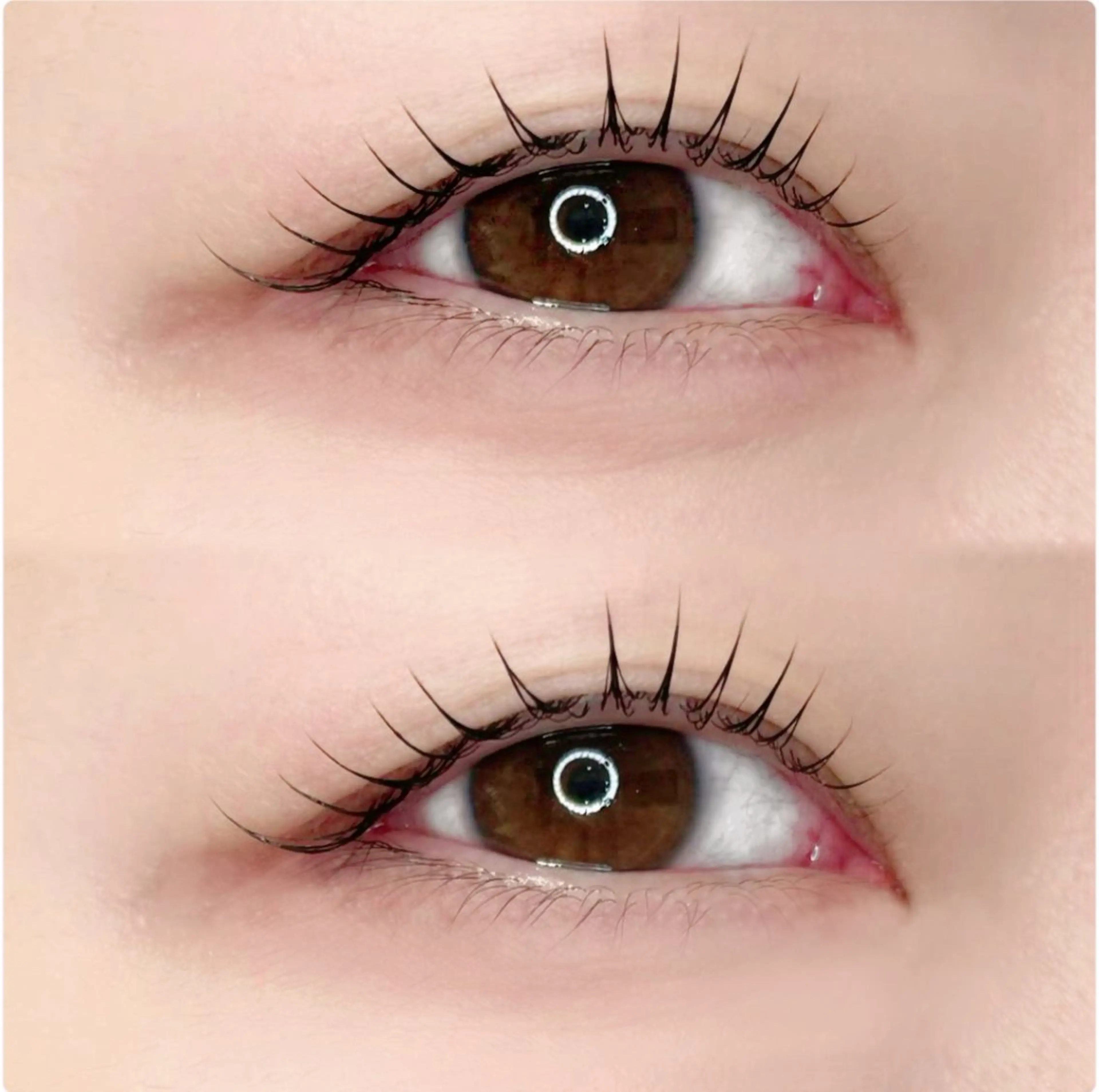 ✨当店大人気✨ラッシュリフト👀💖の写真
