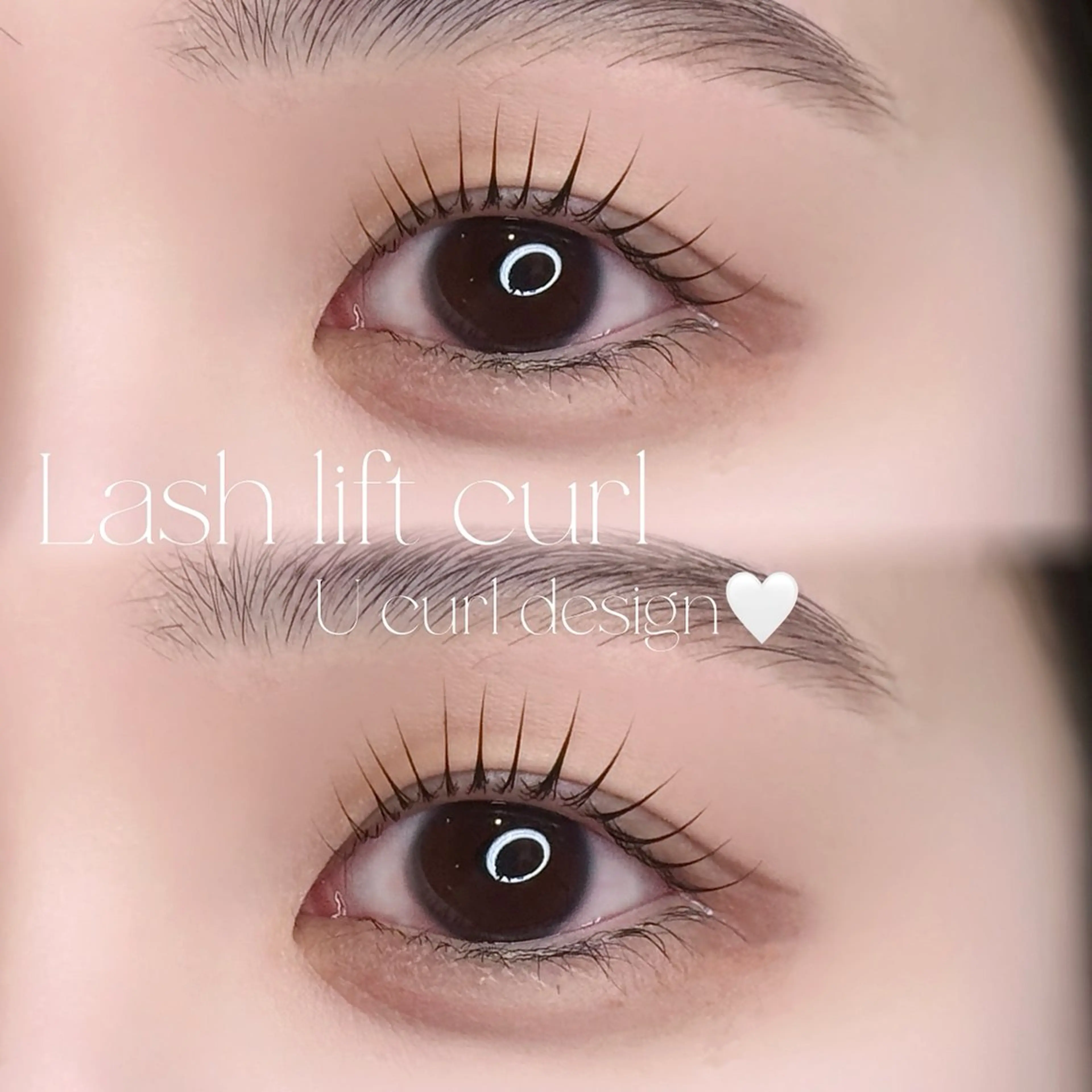 【撮影モデル募集📷✨】まつ毛パーマorパリジェンヌラッシュリフト🎀の写真