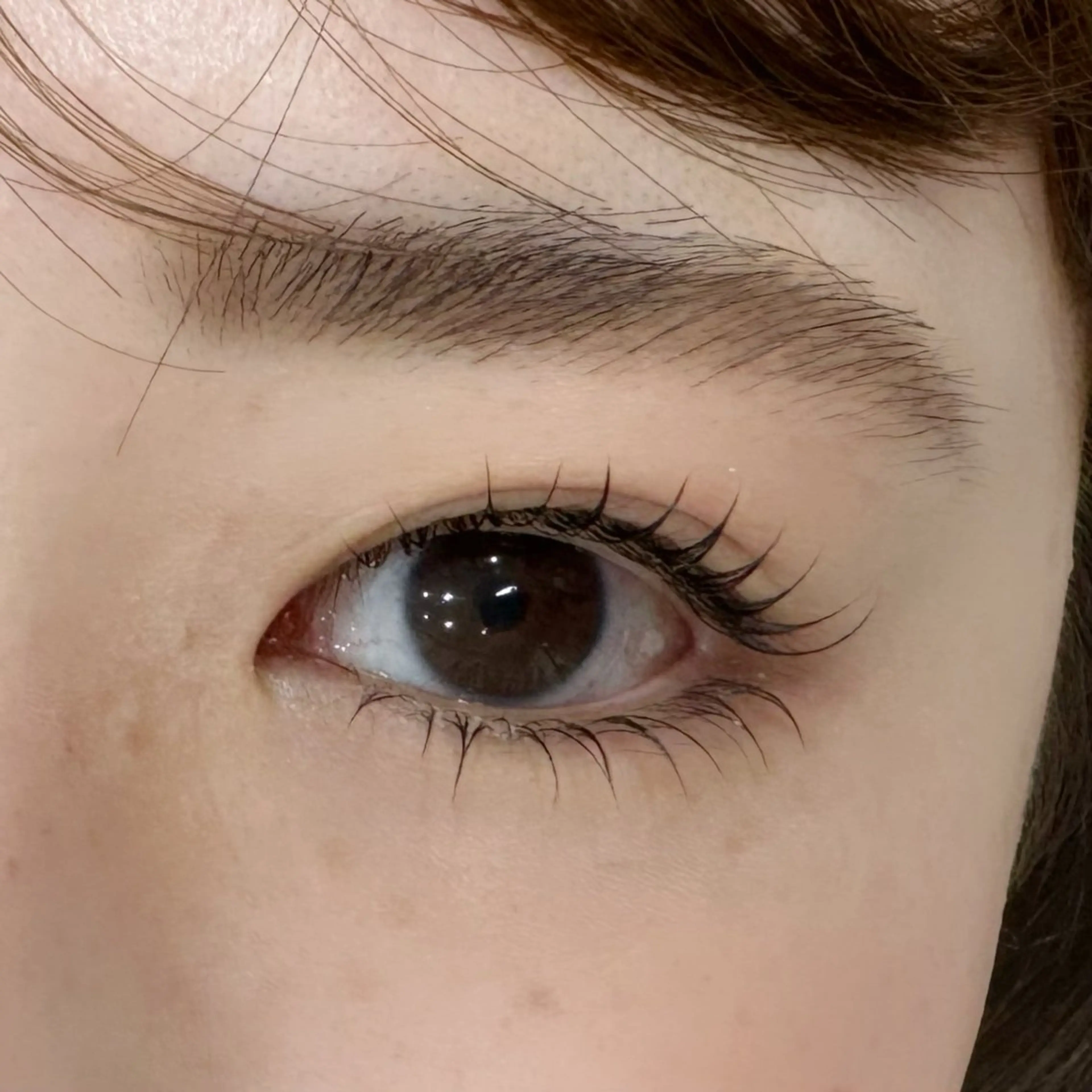 逆さまつげ防止🌀下まつげパーマ💛(ダメージ防止トリートメント仕上げ)男性の下まつげも大歓迎🉑の写真