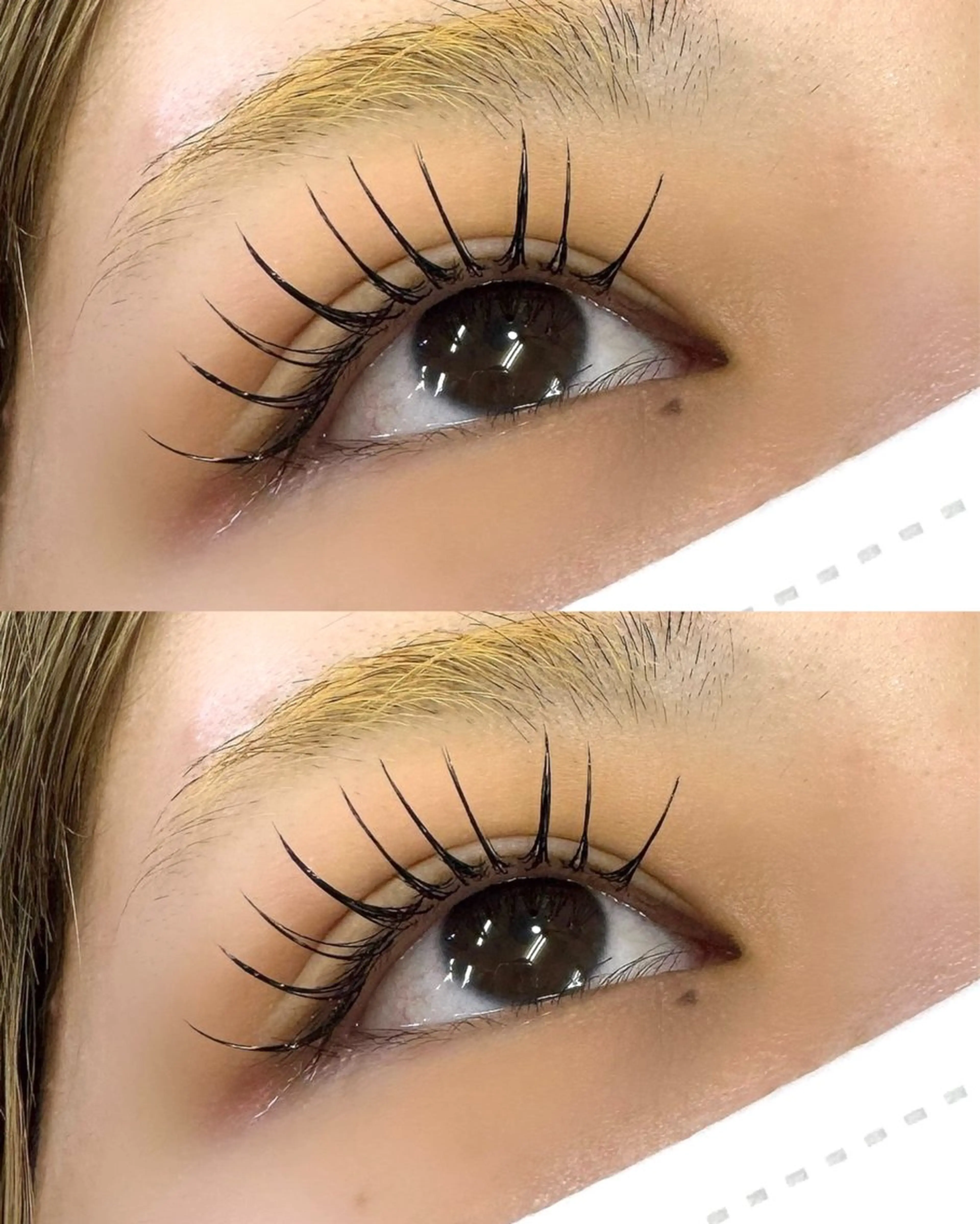 マツエク・マツパ マツエク Shuon東青梅所属・石橋 玲那のマツエク・マツパデザイン