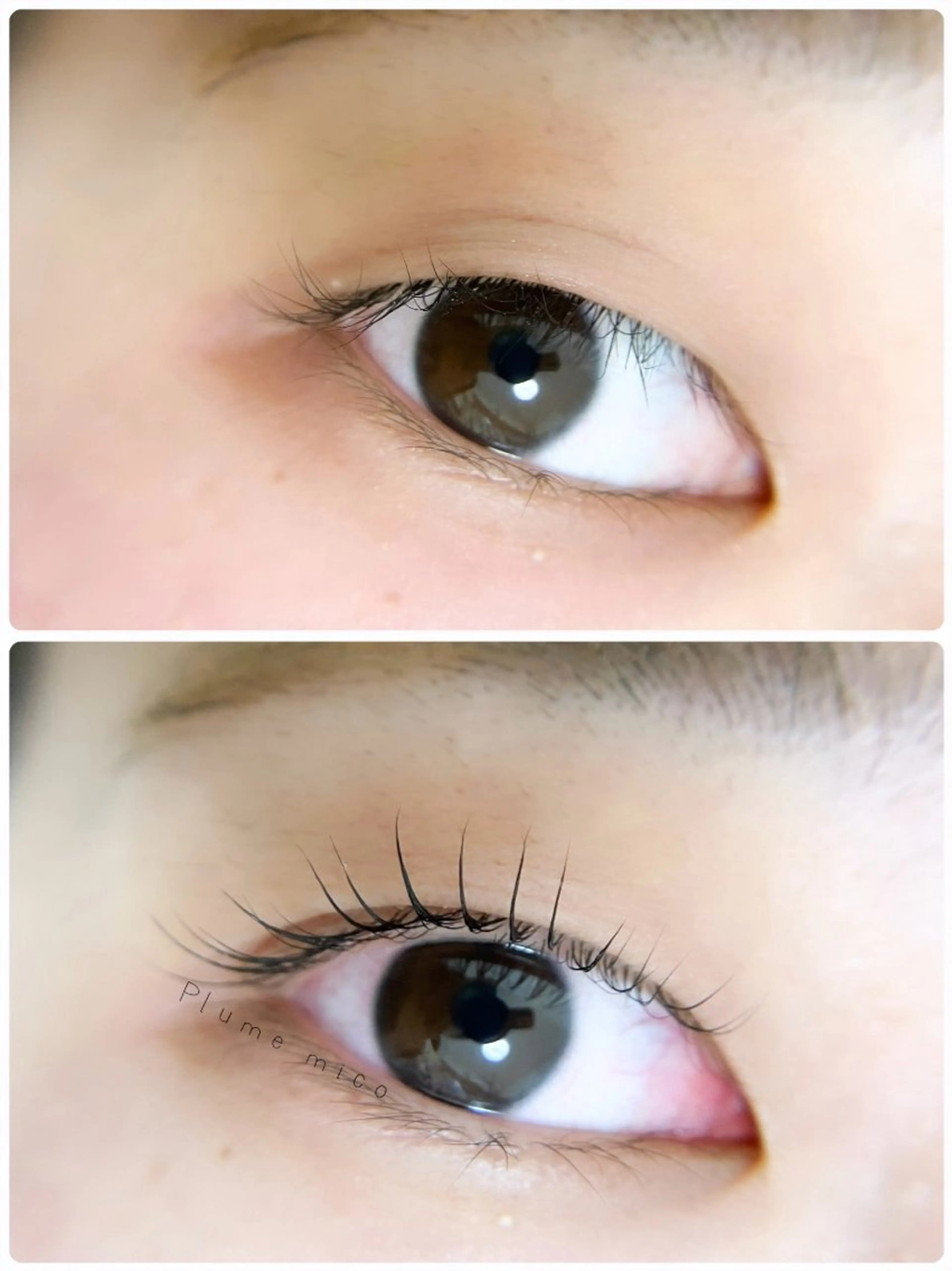 マツエク・マツパ マツパ Plume micoのマツエク・マツパデザイン