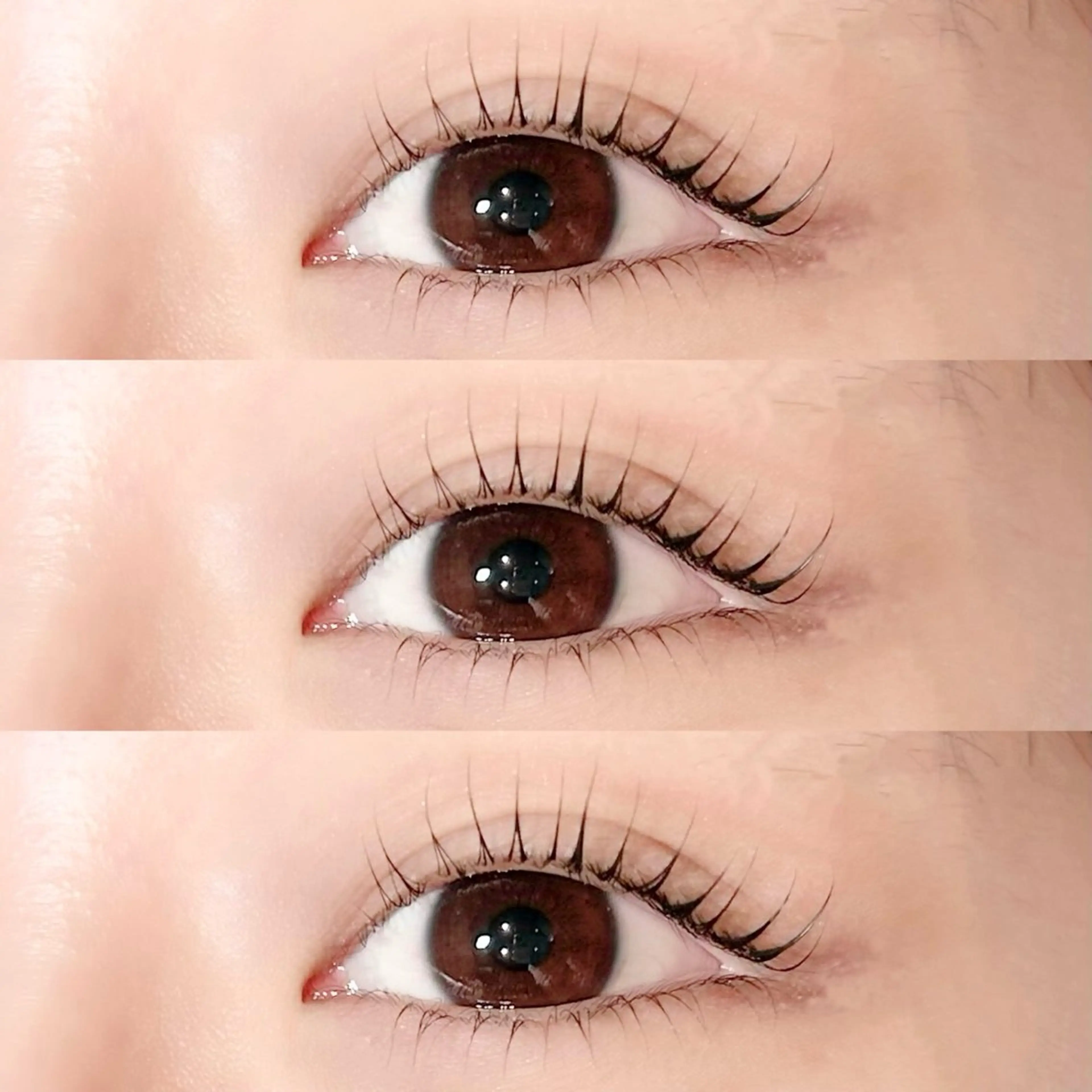 マツエク・マツパ まつげパーマ 下まつげエクステ マツパ Stella🪄 rinkaのマツエク・マツパデザイン