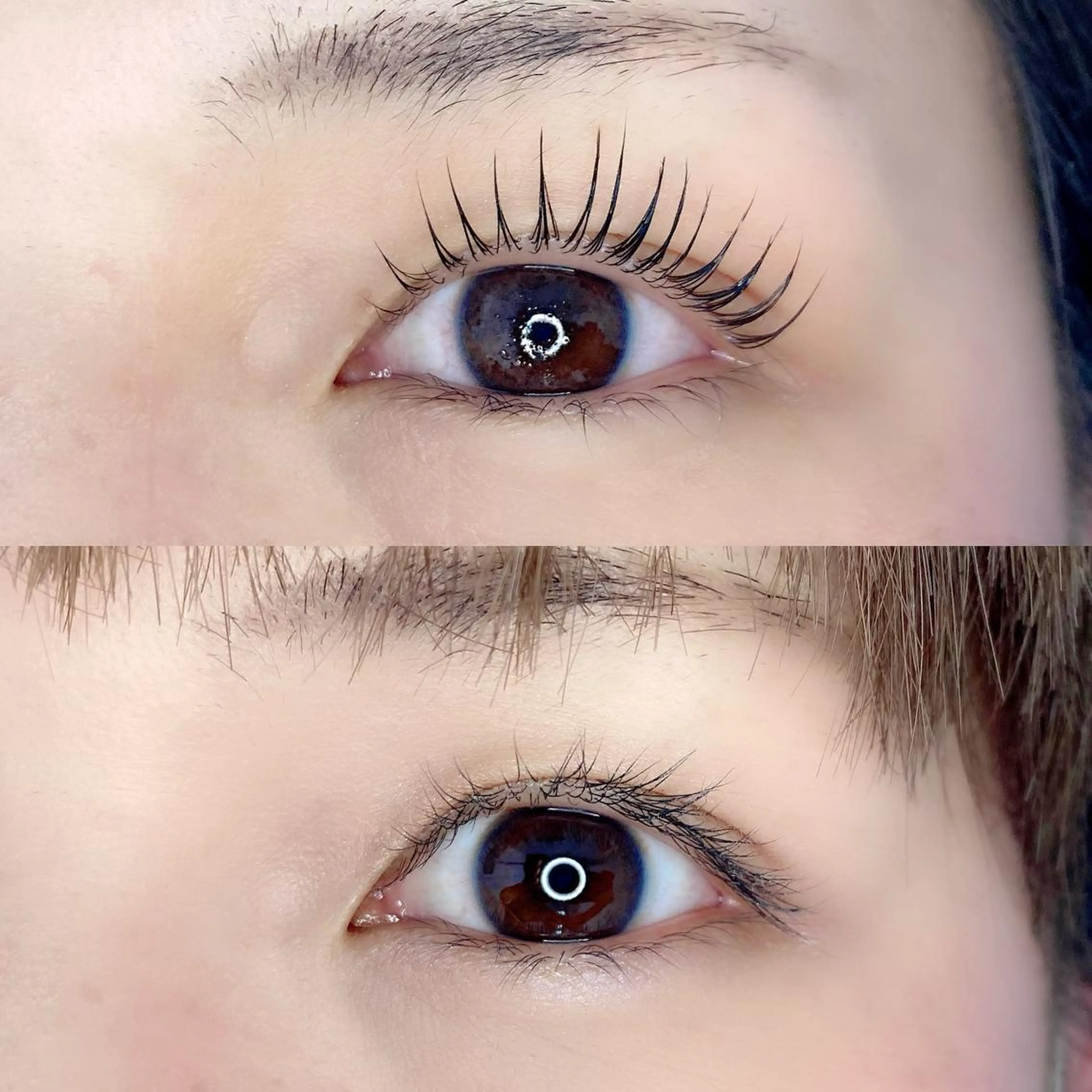 マツエク・マツパ LAND【ランド】 小鹿のマツエク・マツパデザイン