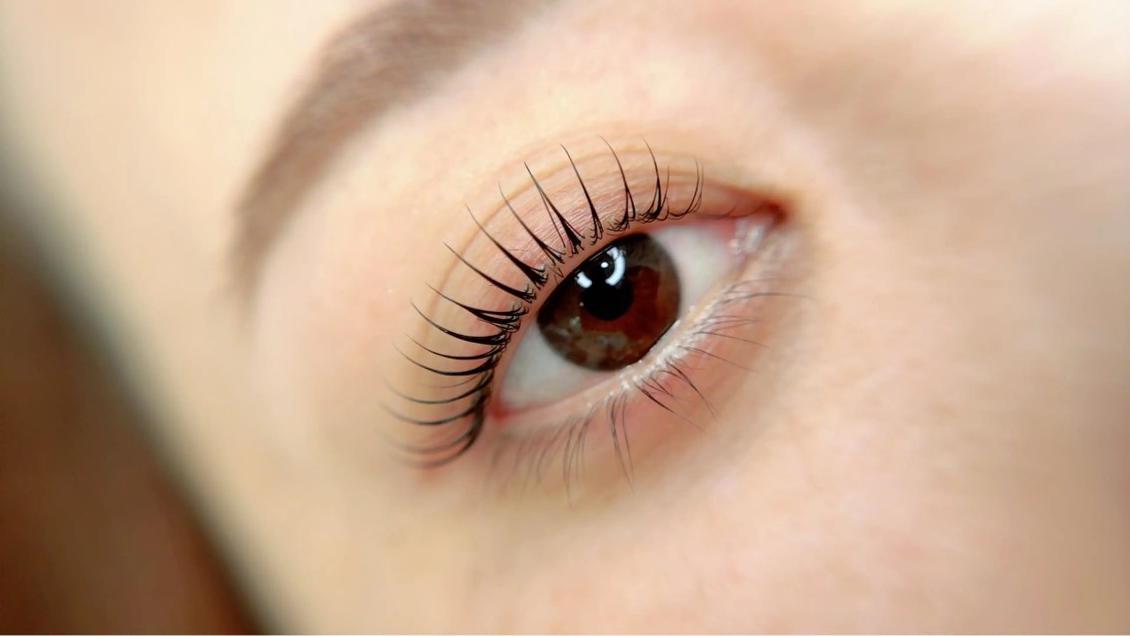 マツエク・マツパ Maile leaf 【マイレリーフ】のマツエク・マツパデザイン