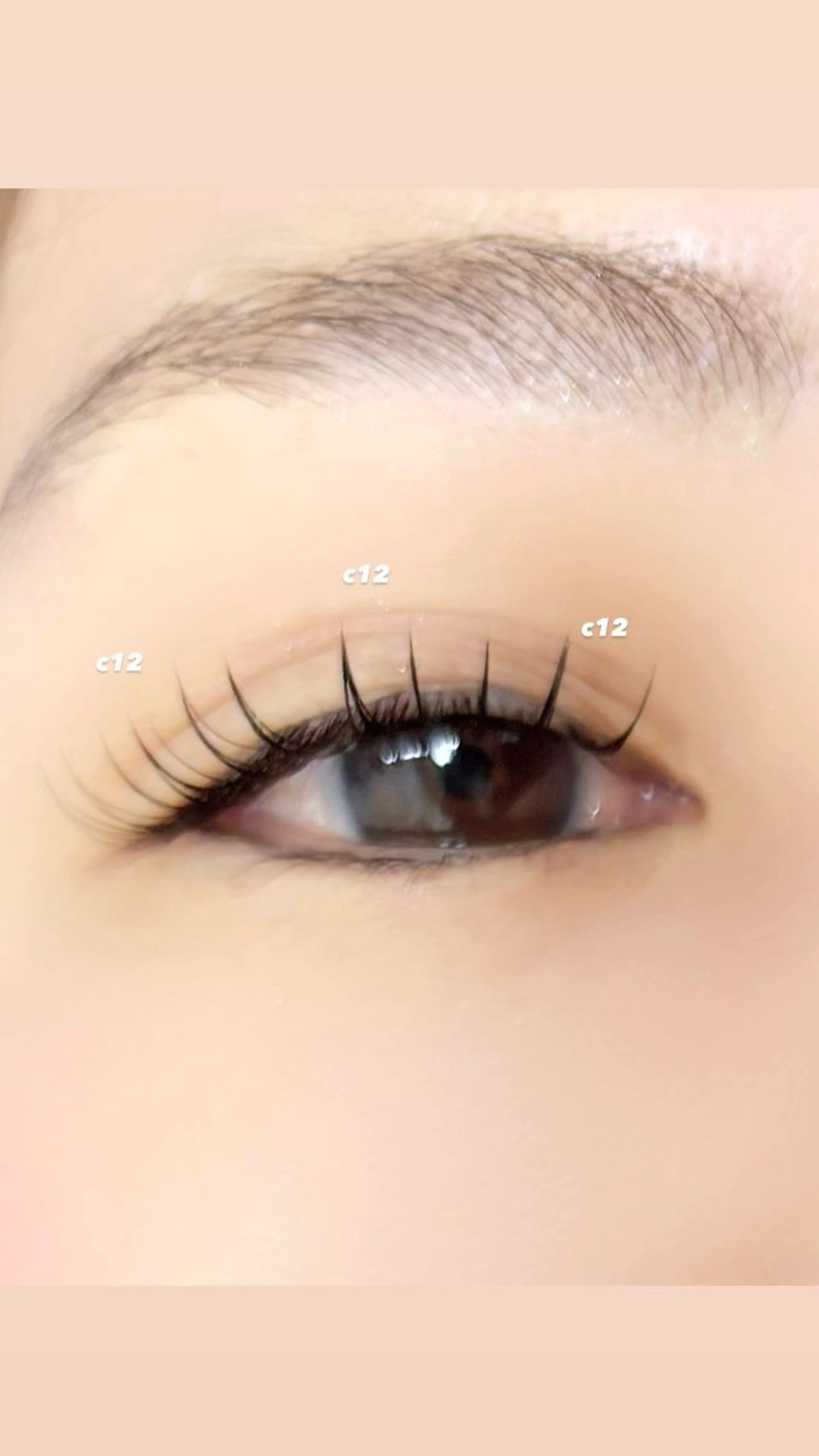 マツエク・マツパ フラットラッシュ Ayumi.dre 🐹H〈2階〉のマツエク・マツパデザイン