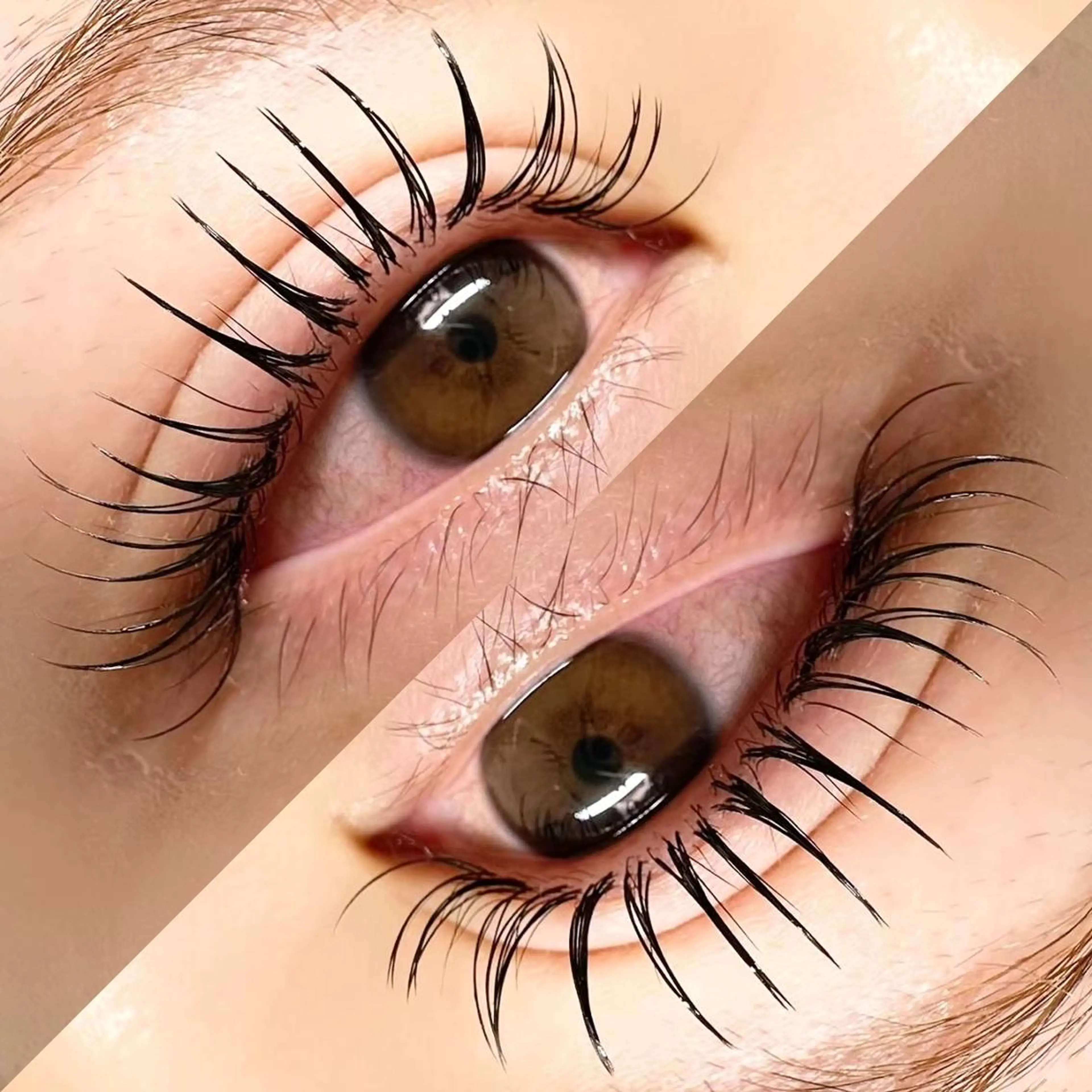 《モチ1.5~2倍最新技術🦋》LEDフラットラッシュ付け放題🤎オフ・コーティング込みの写真