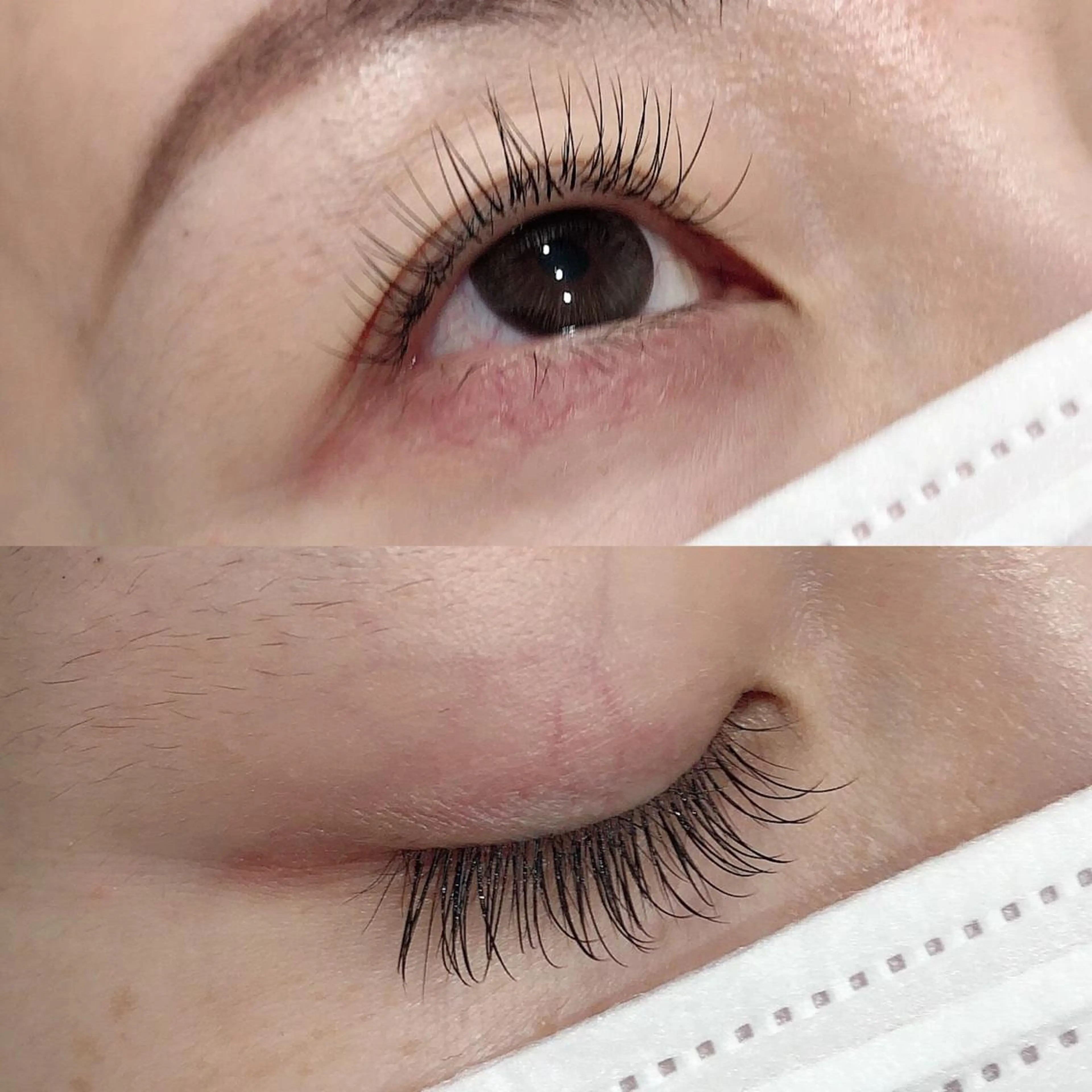 Premiumセーブル 60本(コーティング込)の写真