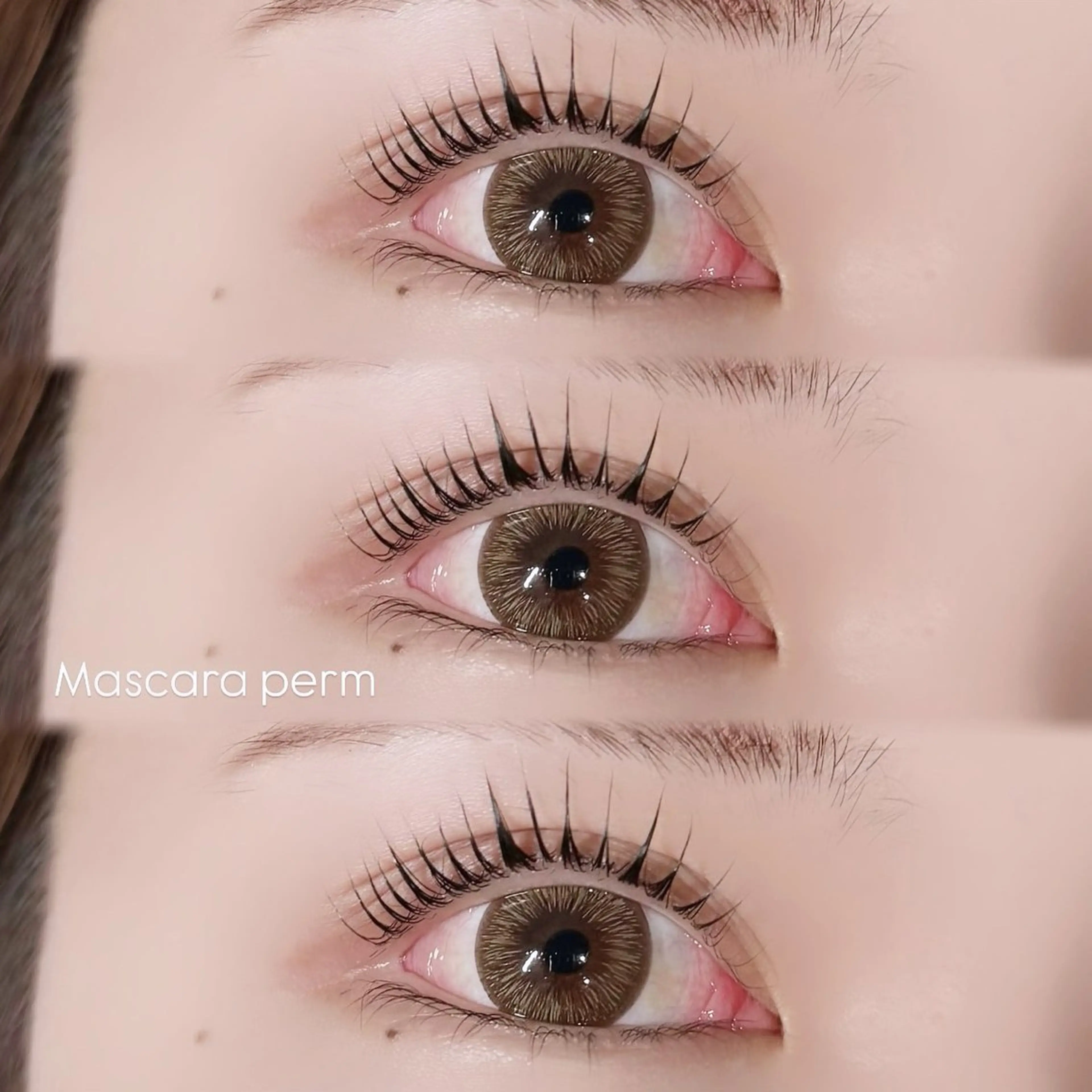 🖤マスカラパーマ《ブラックティント×上まつ毛パーマ》¥7,150→¥5,550【minimo限定🪽】の写真