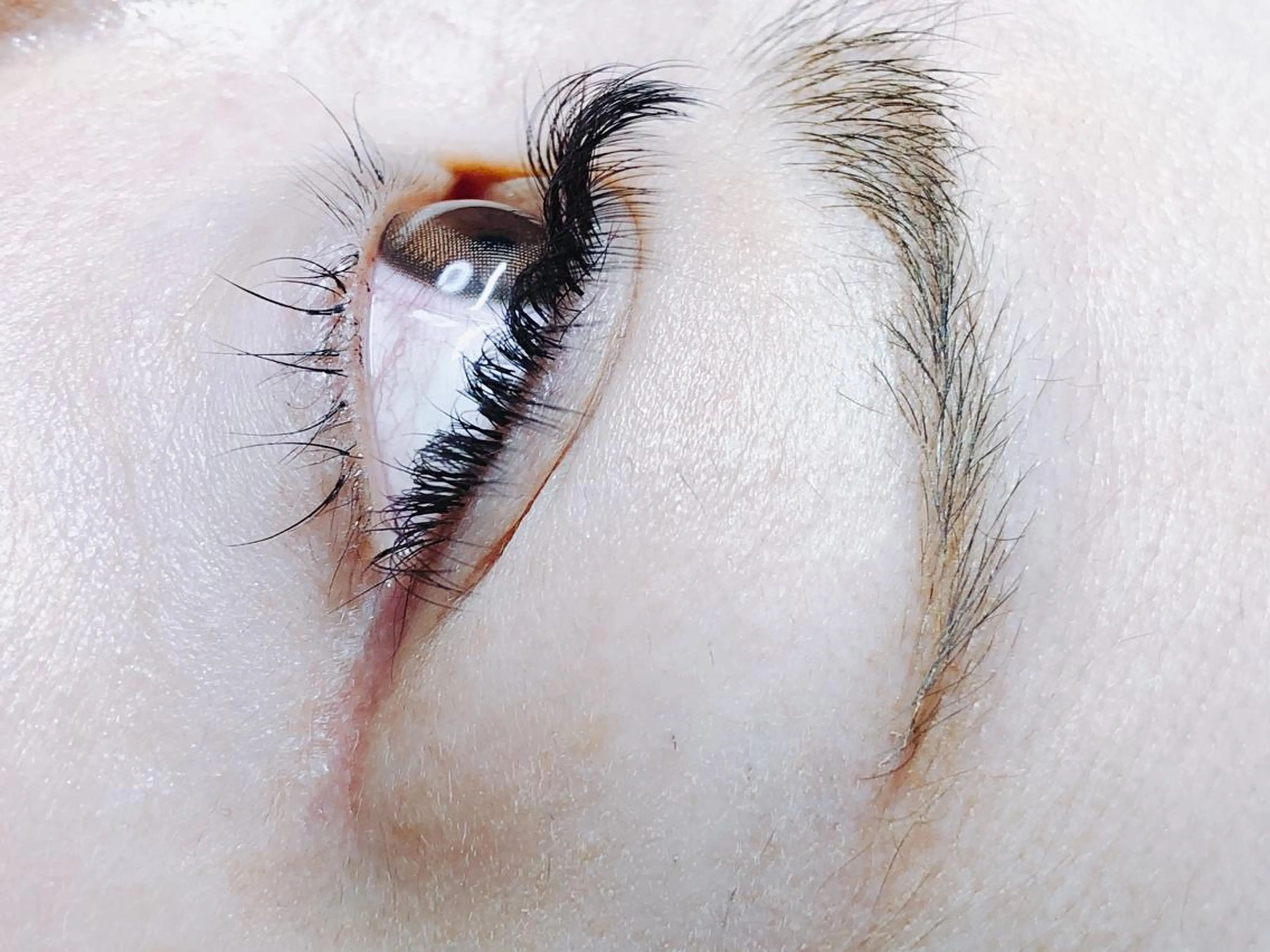 【初回のみ】他店オフ込、ボリュームラッシュ上180束　¥7500の写真