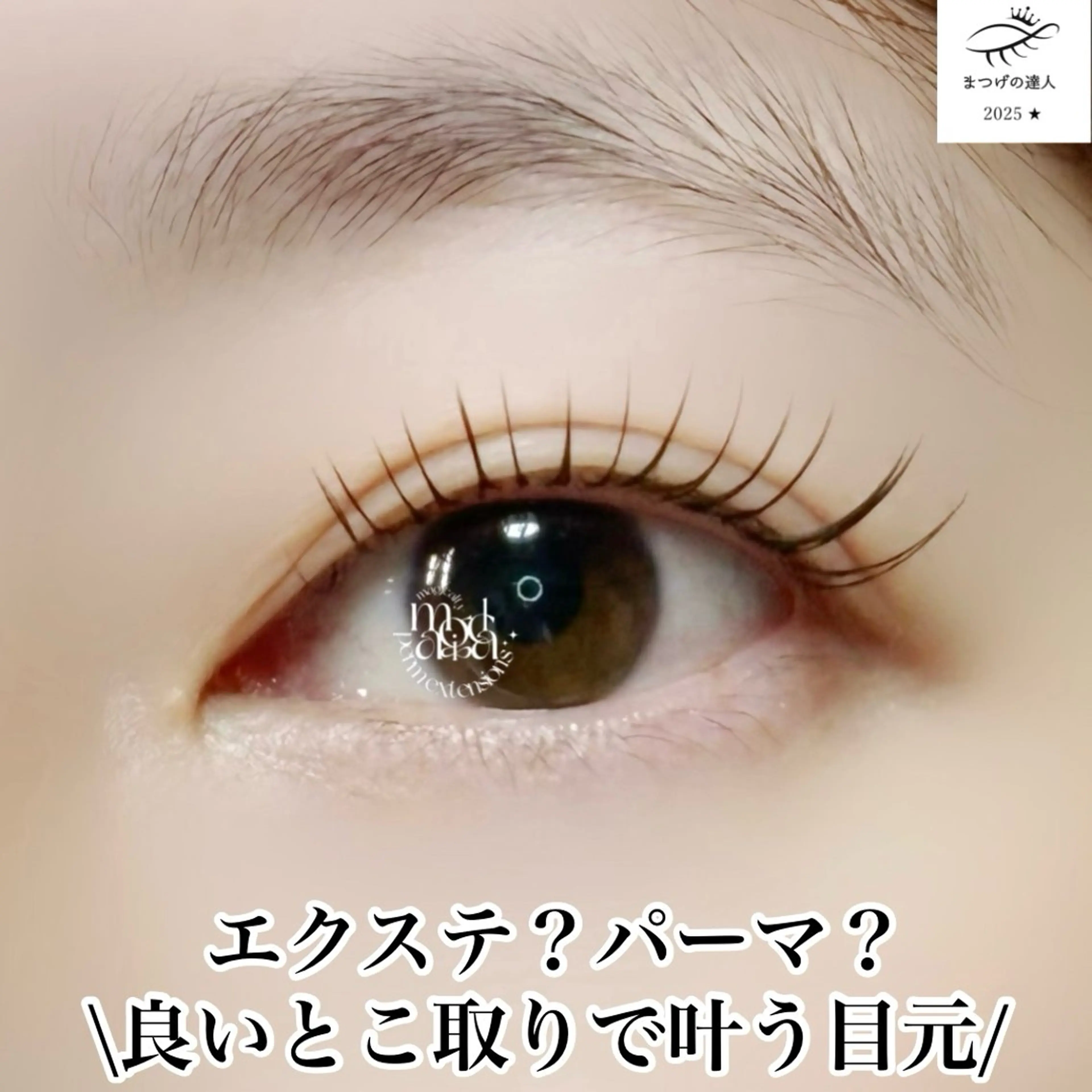 マツエク・マツパ 一重×まつ毛パーマ カワムラ サキのマツエク・マツパデザイン