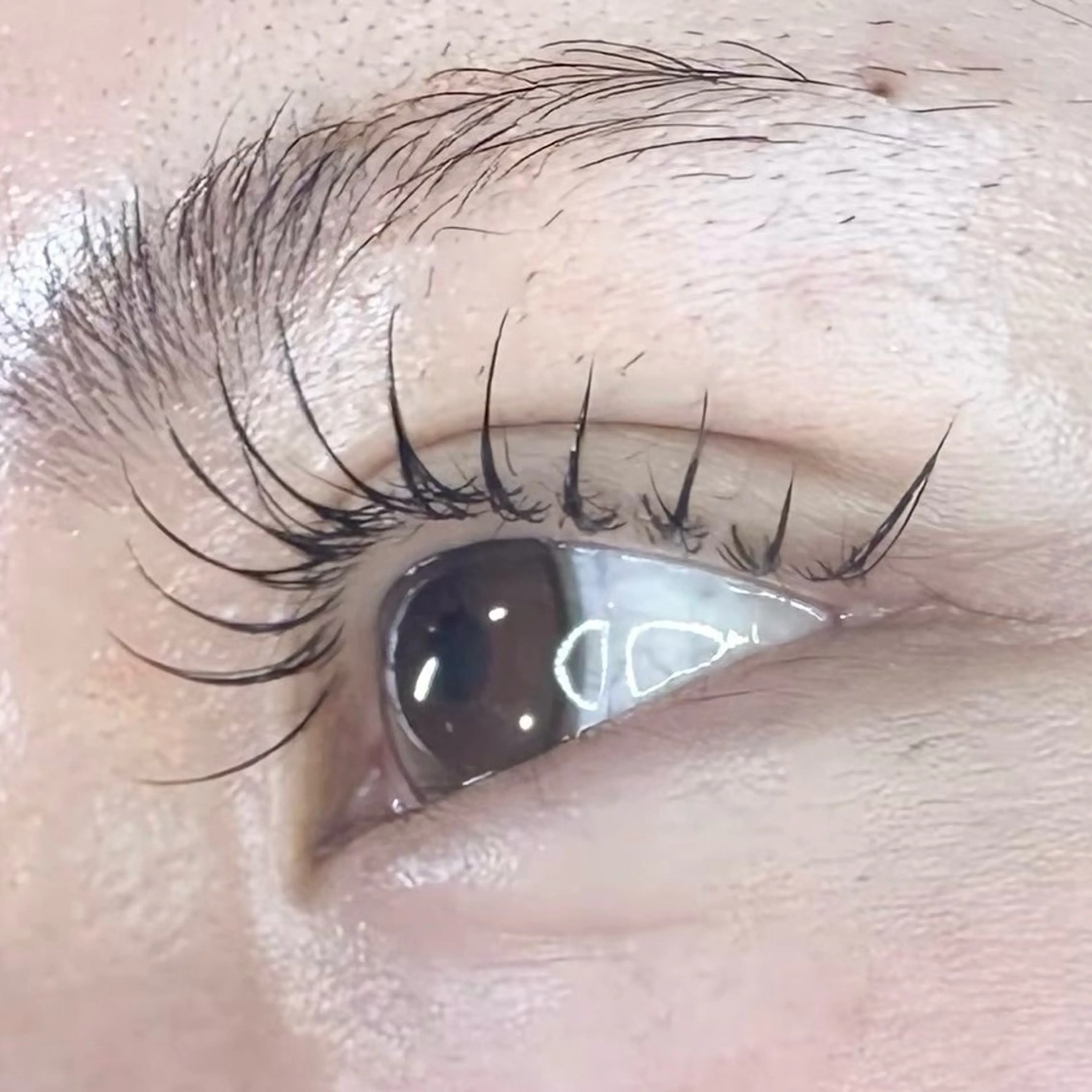 フラットラッシュ80本の写真