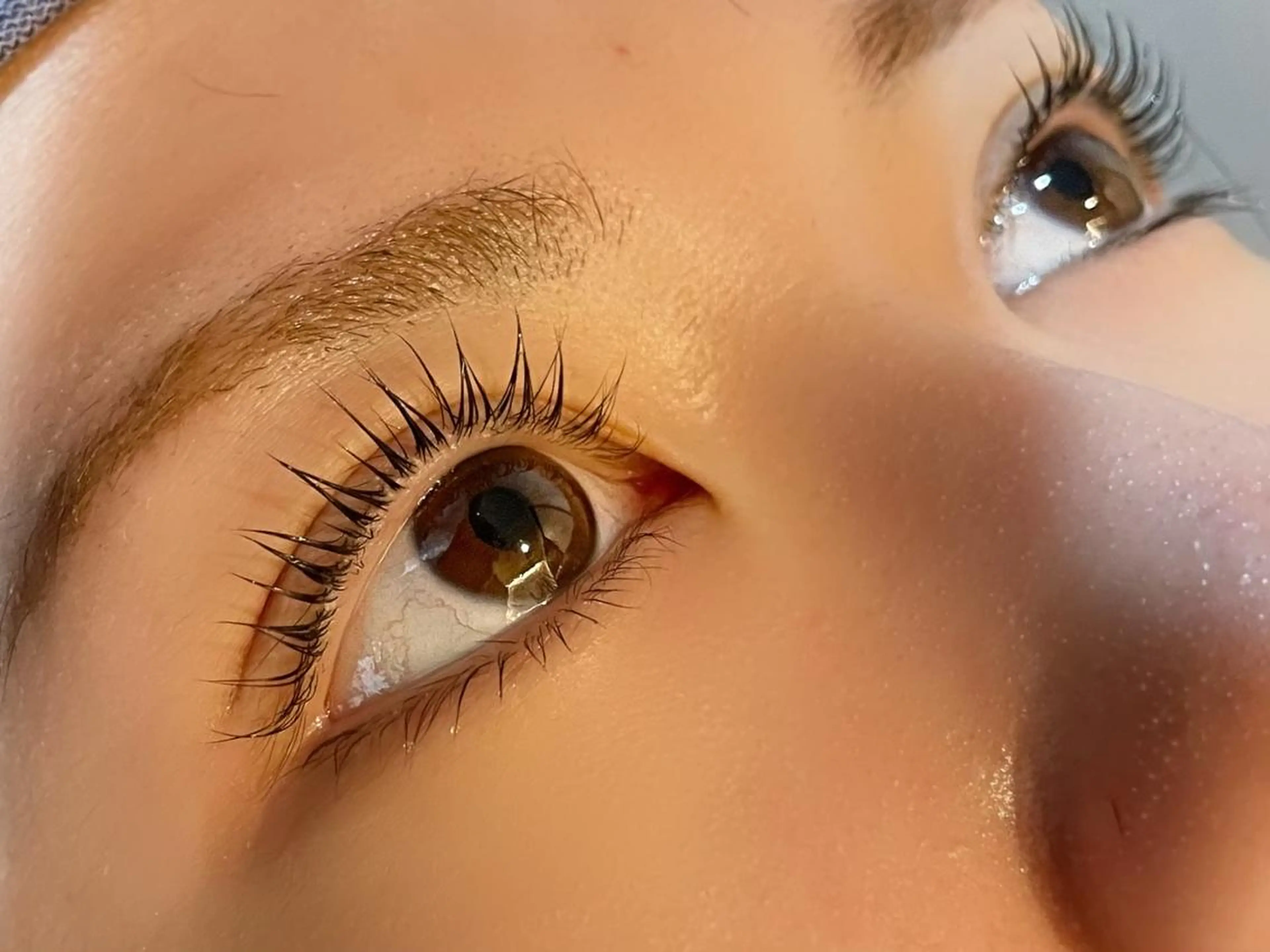 マツエク・マツパ マツパ Fave【フェイブ】 まつパ/眉毛/メンズの眉毛・アイブロウイメージ