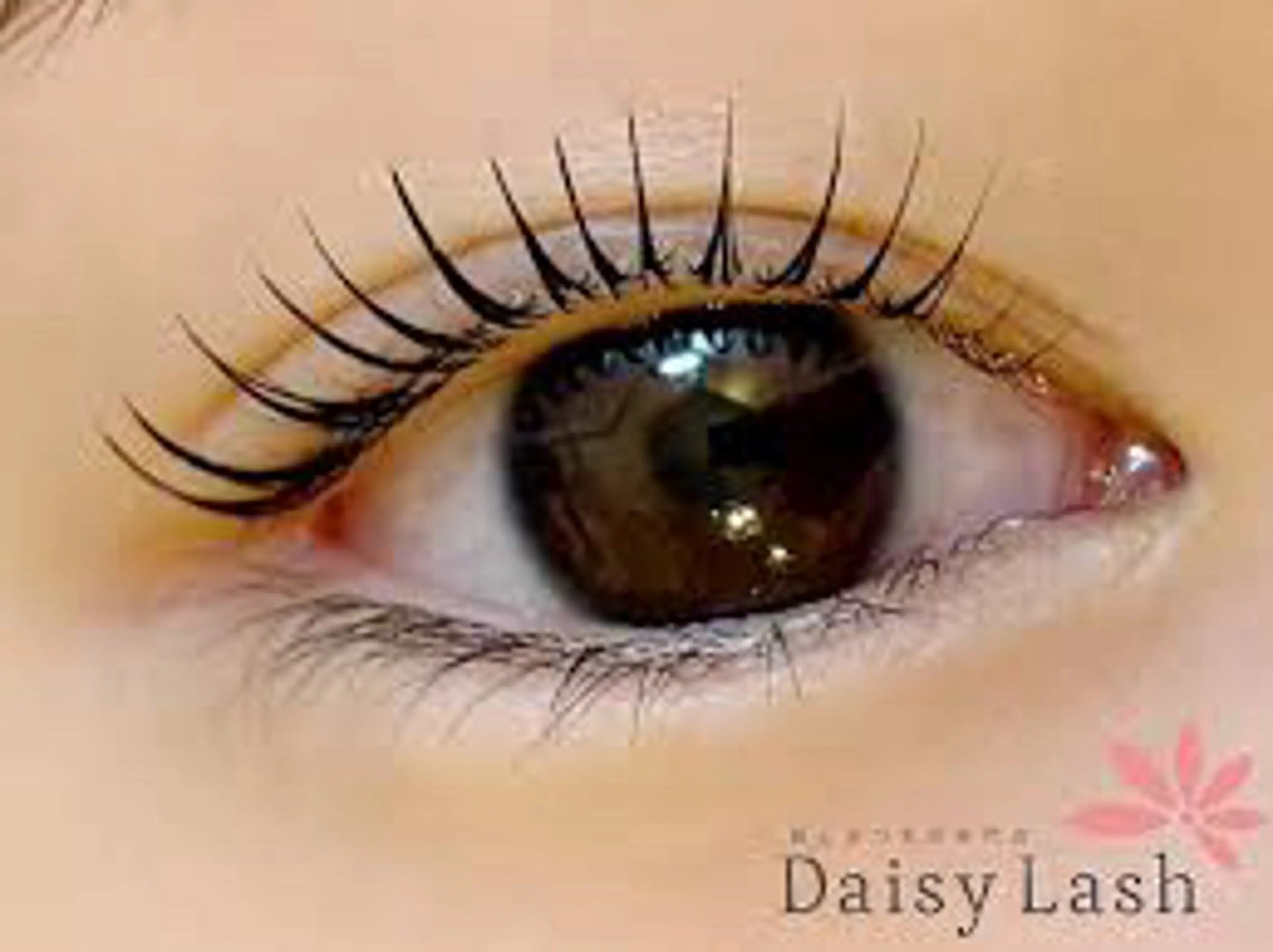 マツエク・マツパ Daisy Lash 天王寺　山田のマツエク・マツパデザイン