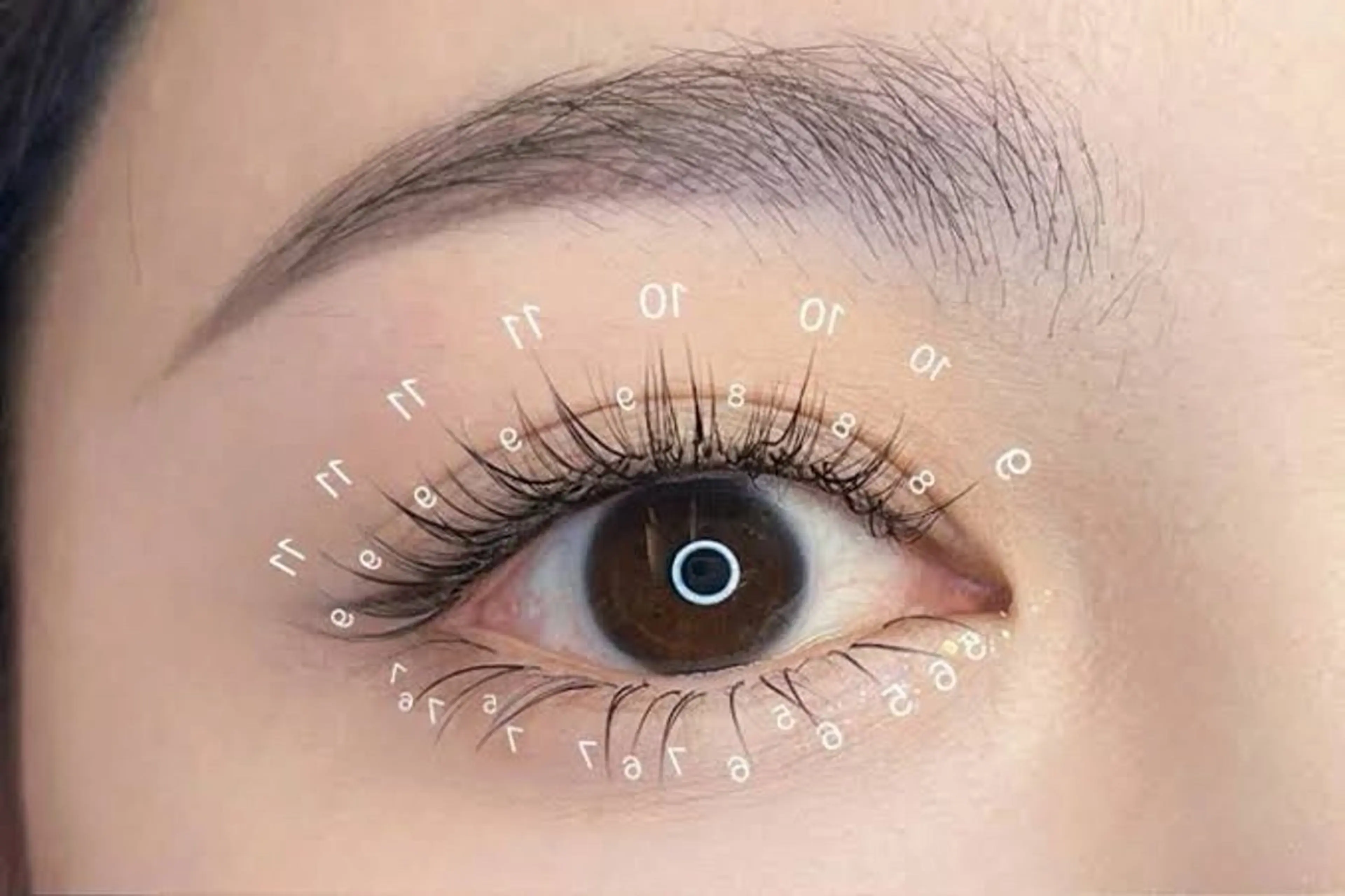 マツエク・マツパ マツエク PT 美容サロン(西船橋)のマツエク・マツパデザイン