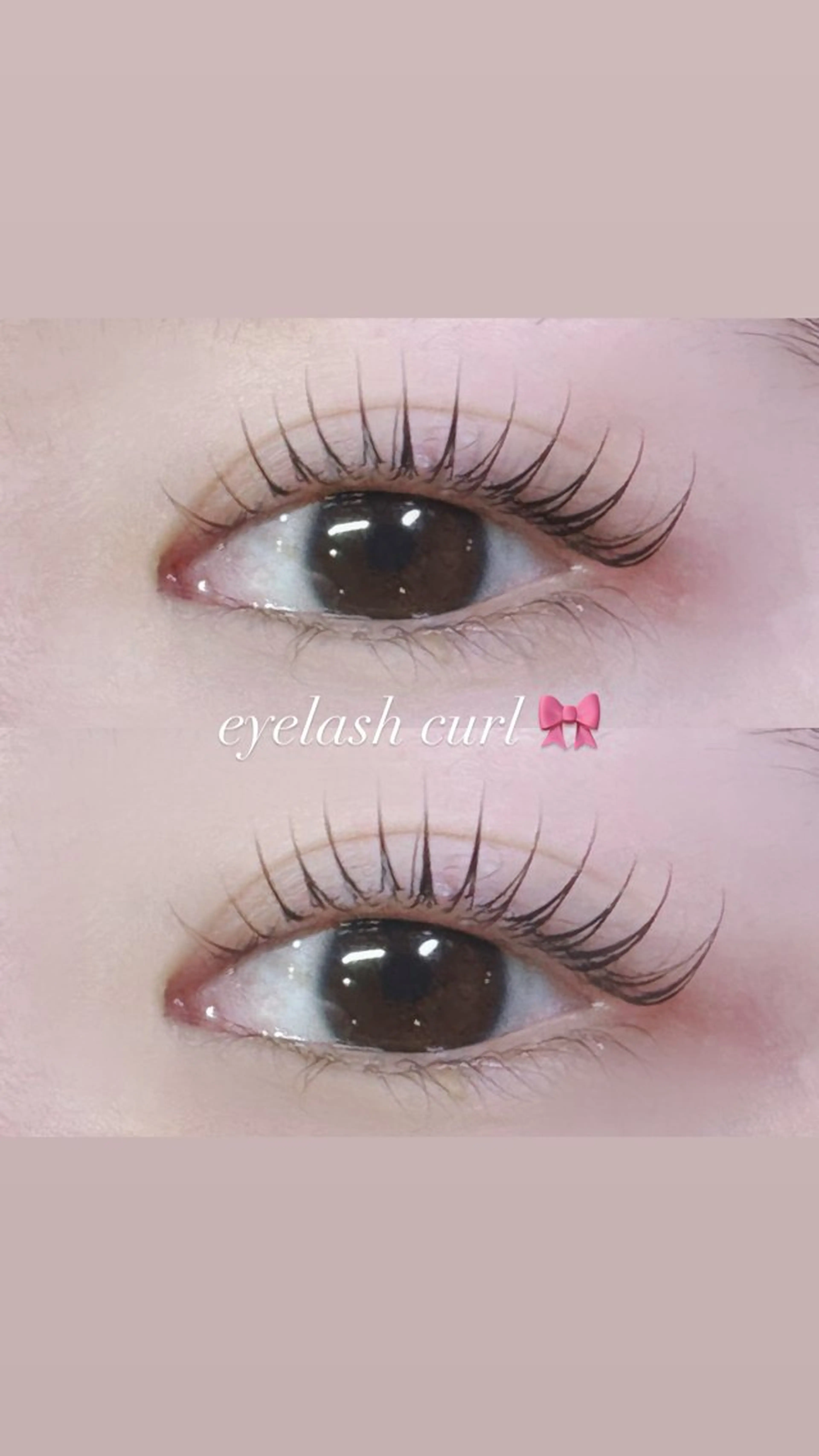 パリジェンヌラッシュリフト🪽🫧(リピーター様)の写真