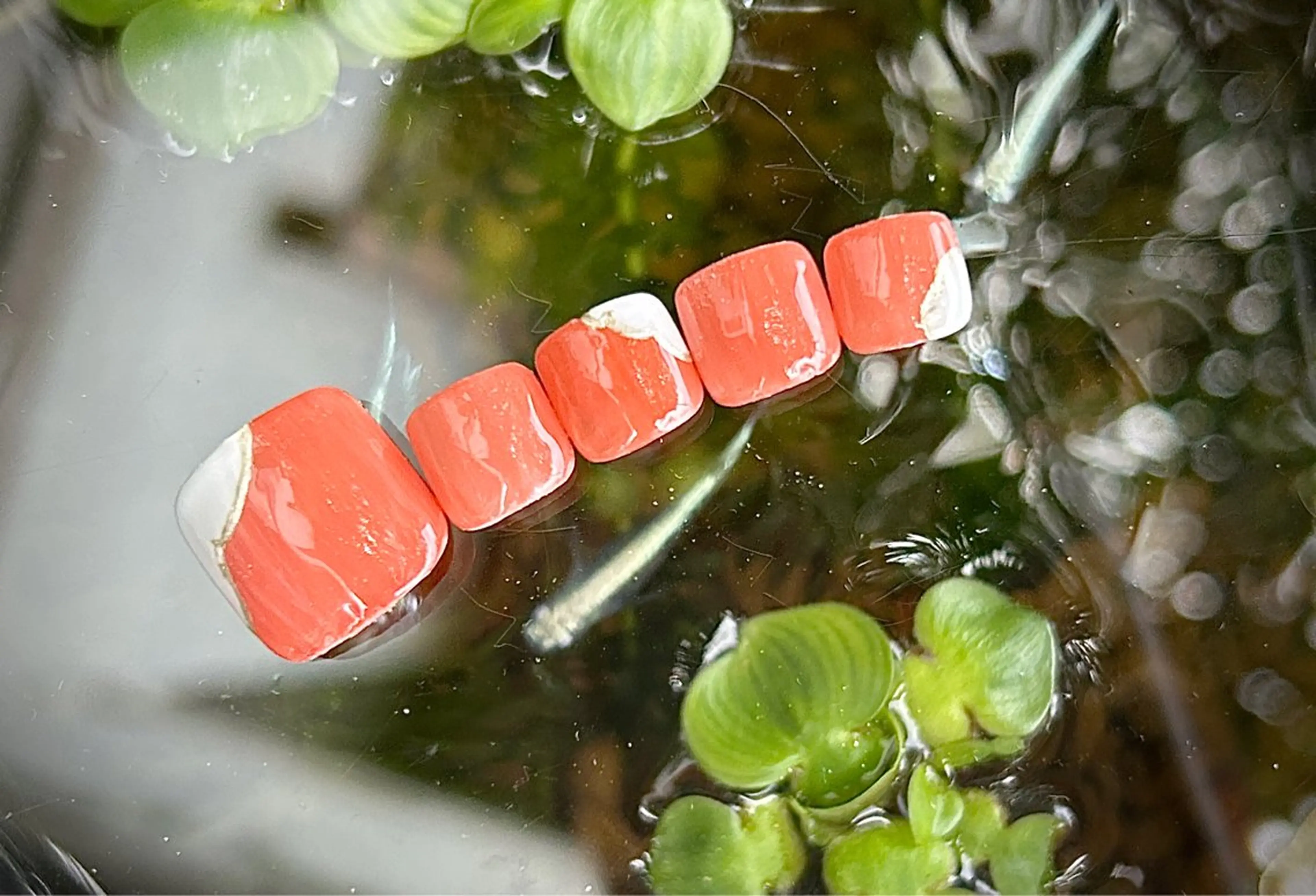 ネイル sonus. nailのネイルデザイン