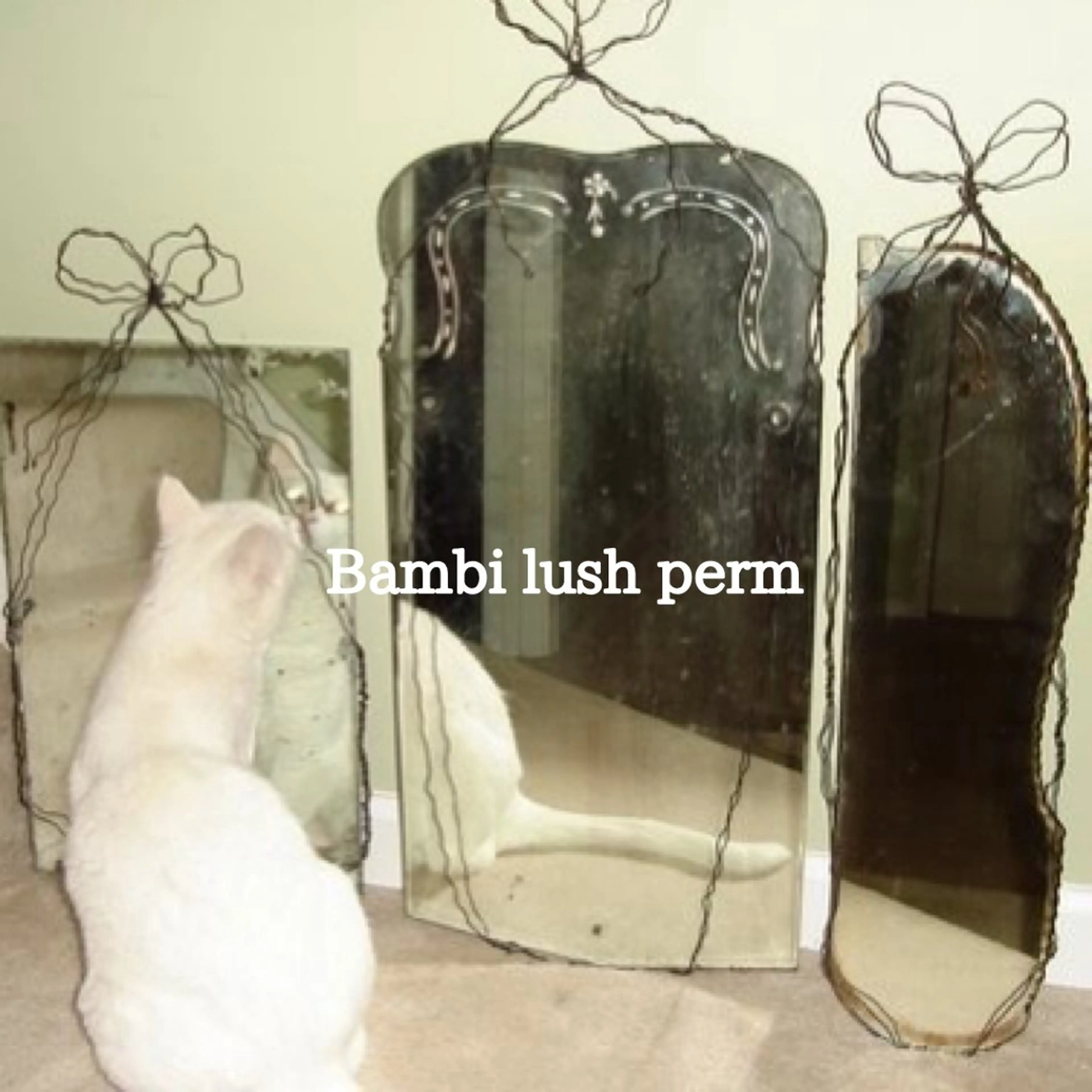 マツエク・マツパ yui 表参道のマツエク・マツパデザイン