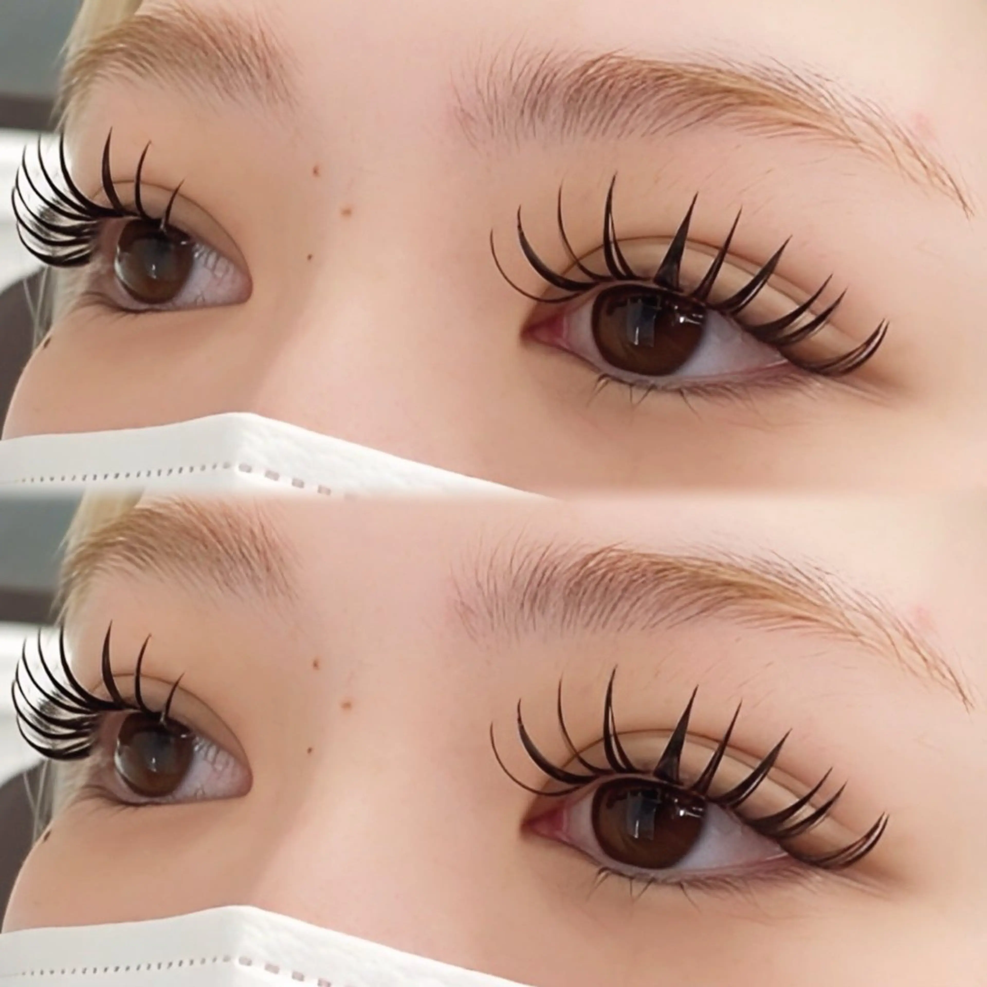 【&Healthy(ｱﾝﾄﾞﾍﾙｼｰ)】🐾ダブルラッシュorバインドロック100束の写真