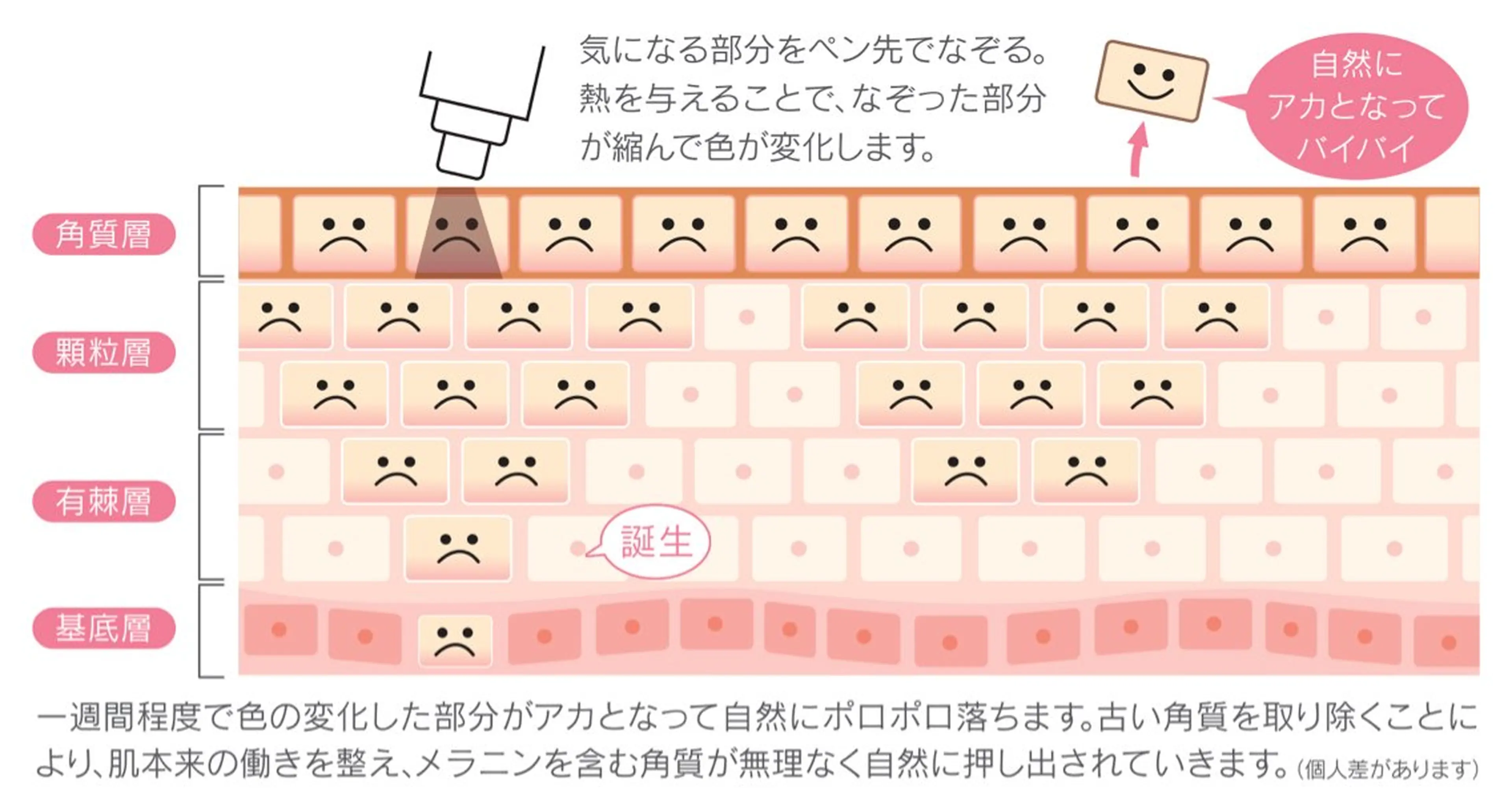 エステ 小顔とシミケア🪽 /Salon Mのエステ・リラクイメージ