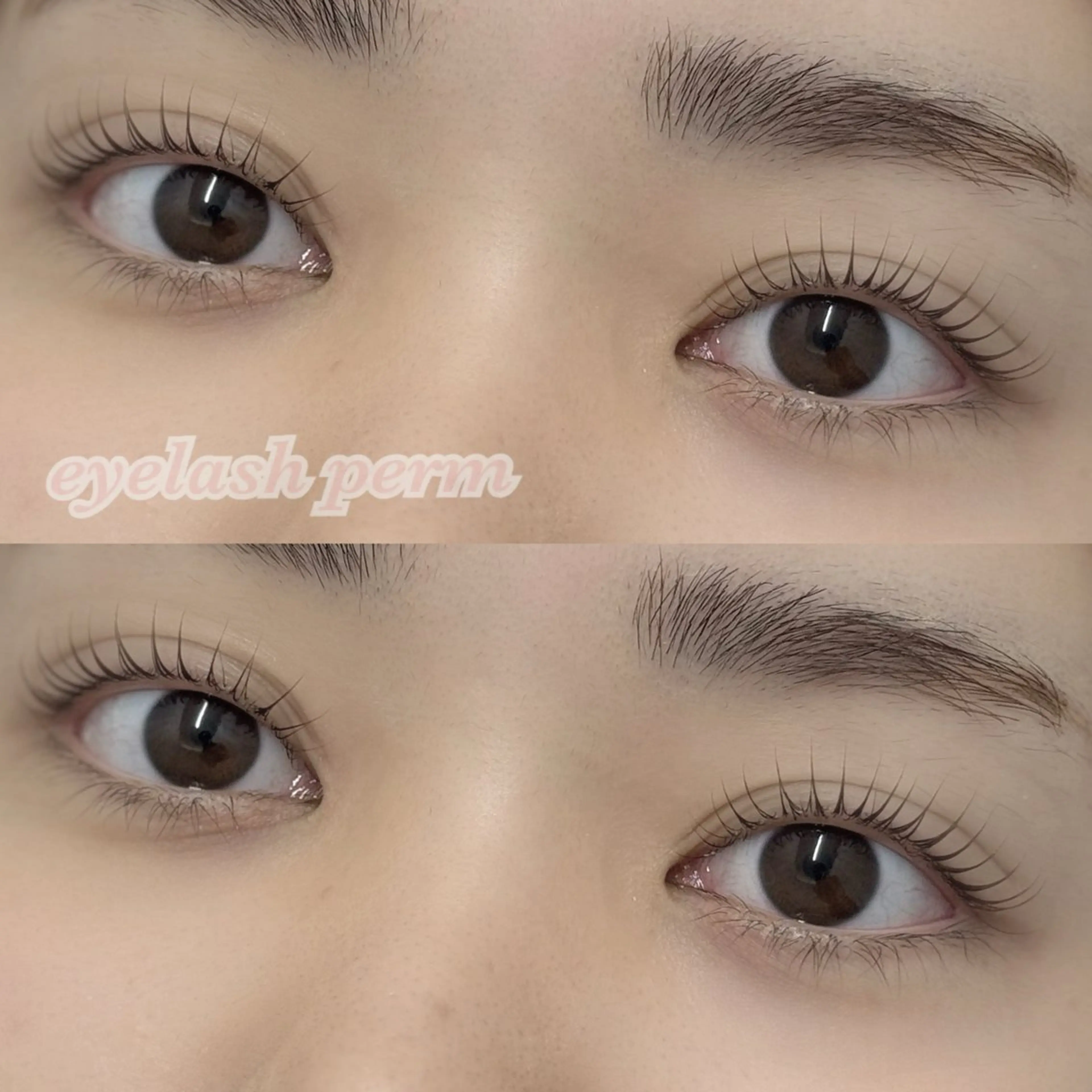 アイブロウデザインWAX＋ハリウッドブロウリフト＋選べるまつ毛パーマの写真