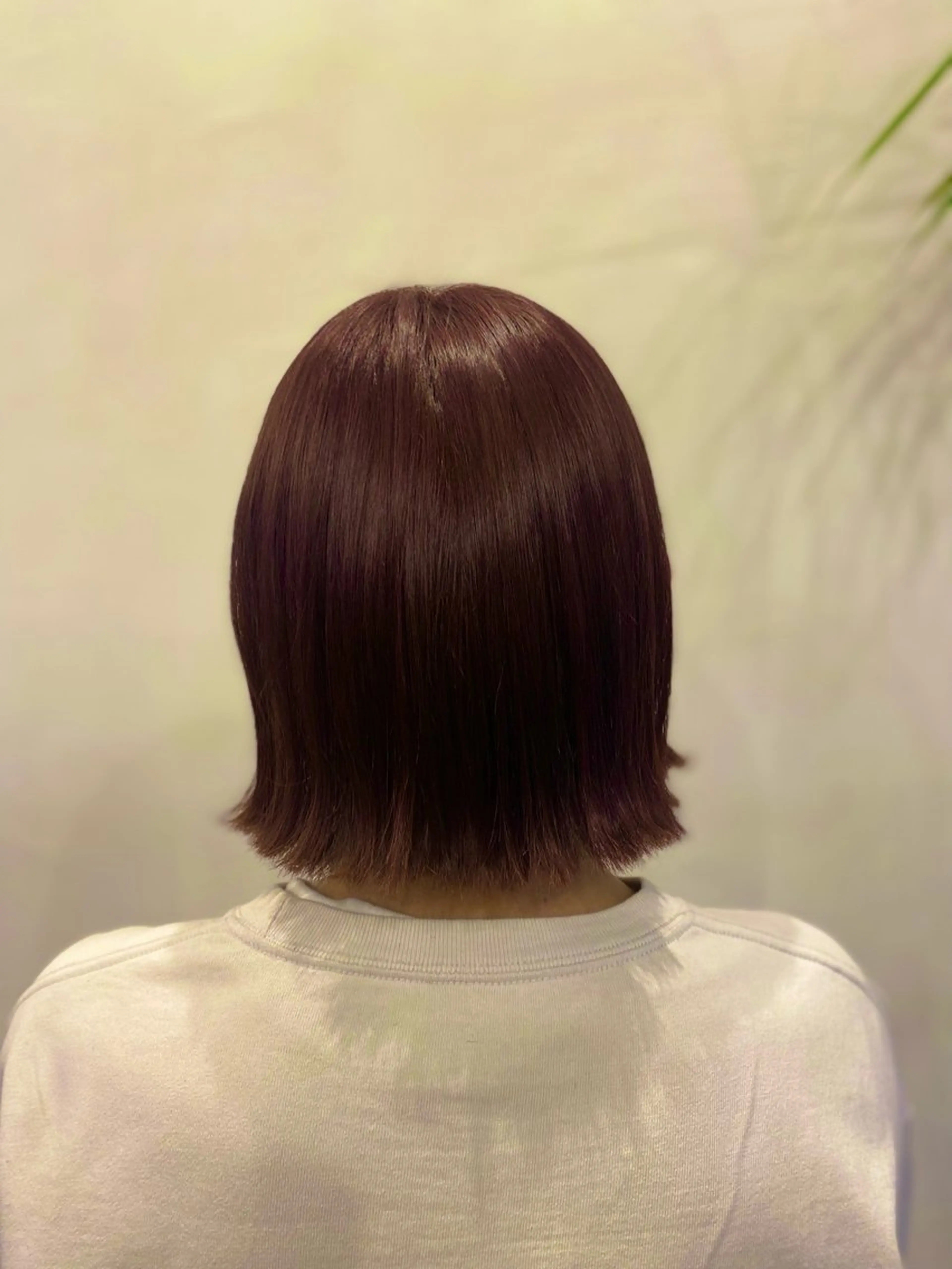 ミディアム カラー アトリエファゴ Chikanoのヘアスタイル