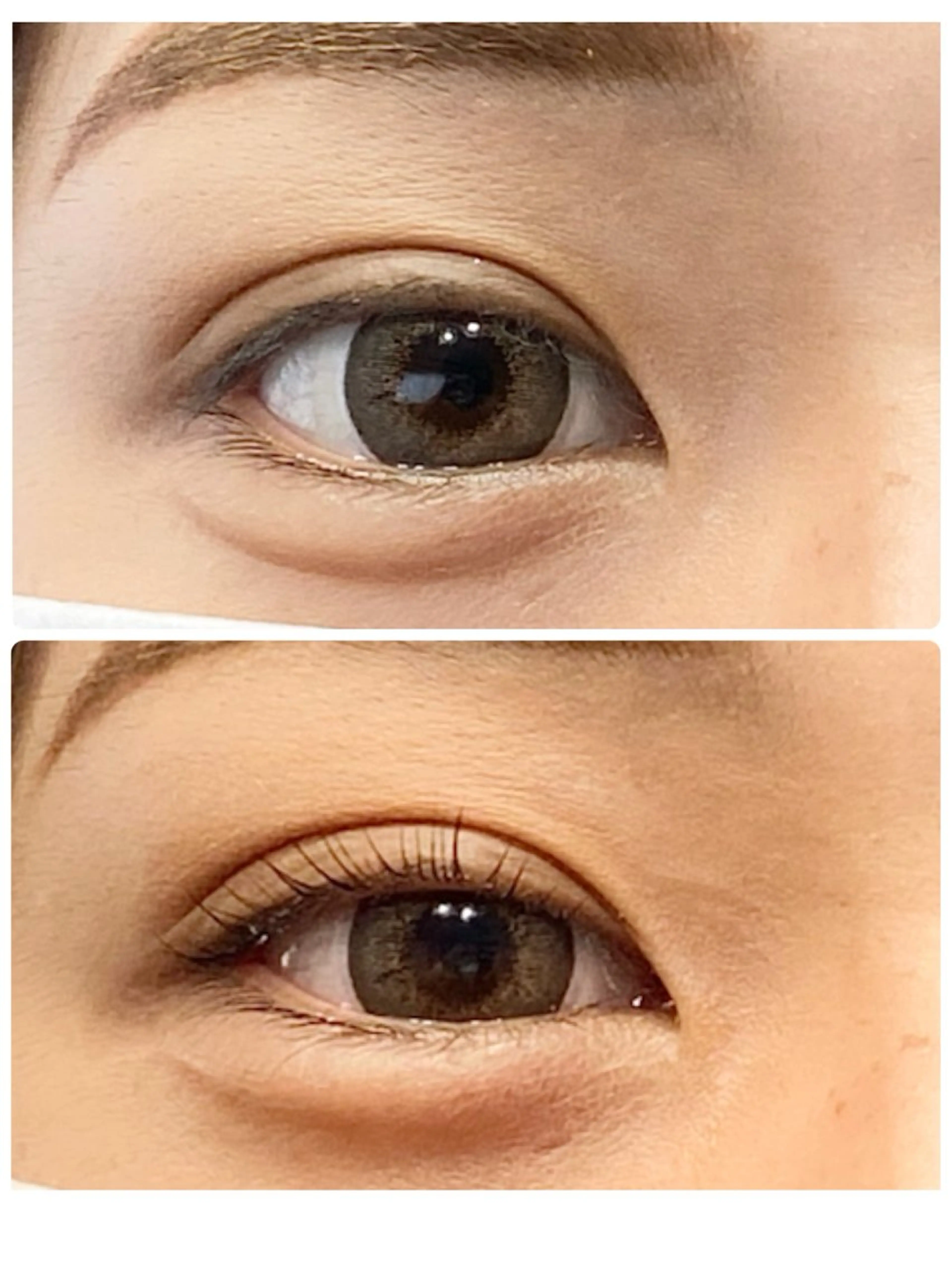 マツエク・マツパ 24eyelash 和泉のマツエク・マツパデザイン