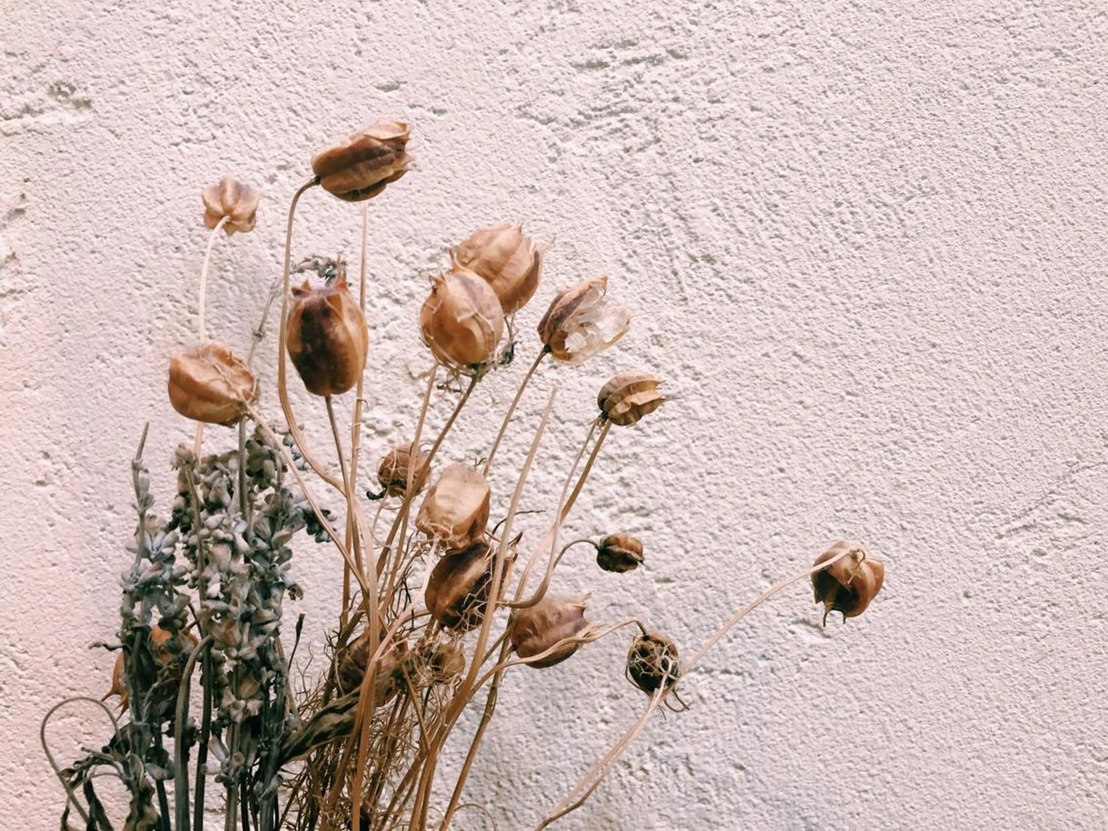 マツエク・マツパ マツエク UTA hair&eyelash所属・青木 百花のマツエク・マツパデザイン