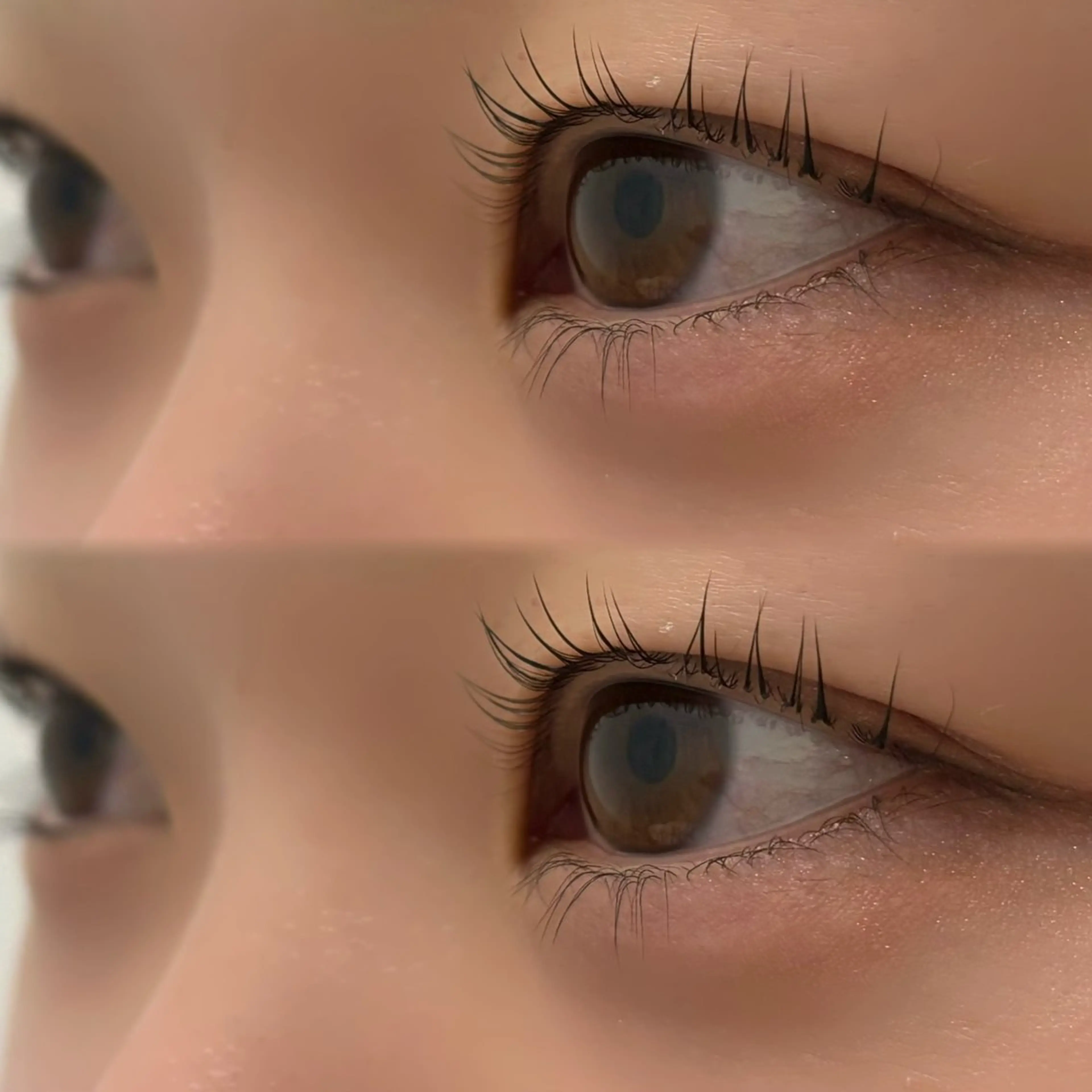 パリジェンヌorラッシュリフト🐩🎀の写真