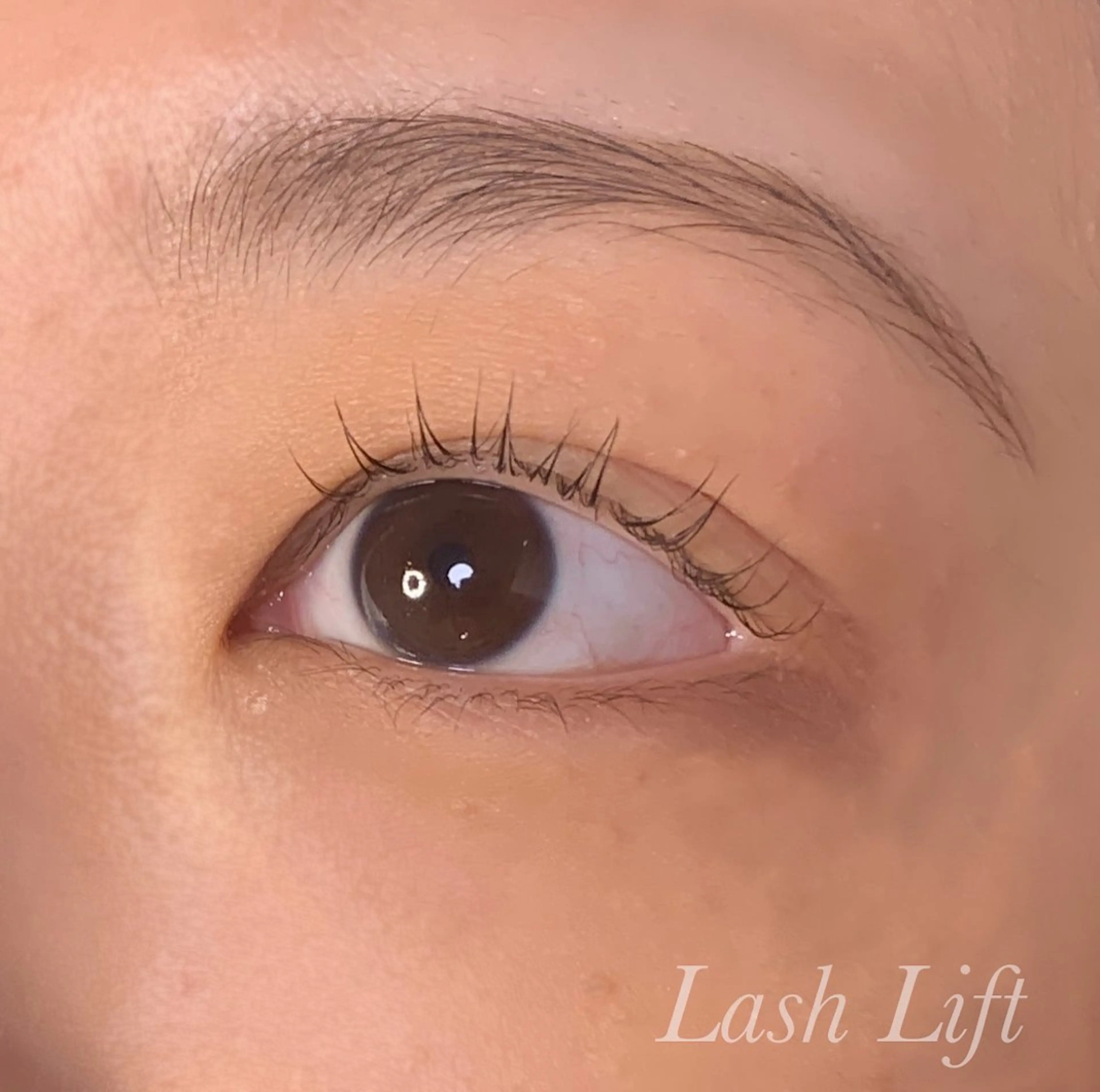 マツエク・マツパ まつげパーマ マツパ Ayumi.pro 🍆N《4階》のマツエク・マツパデザイン